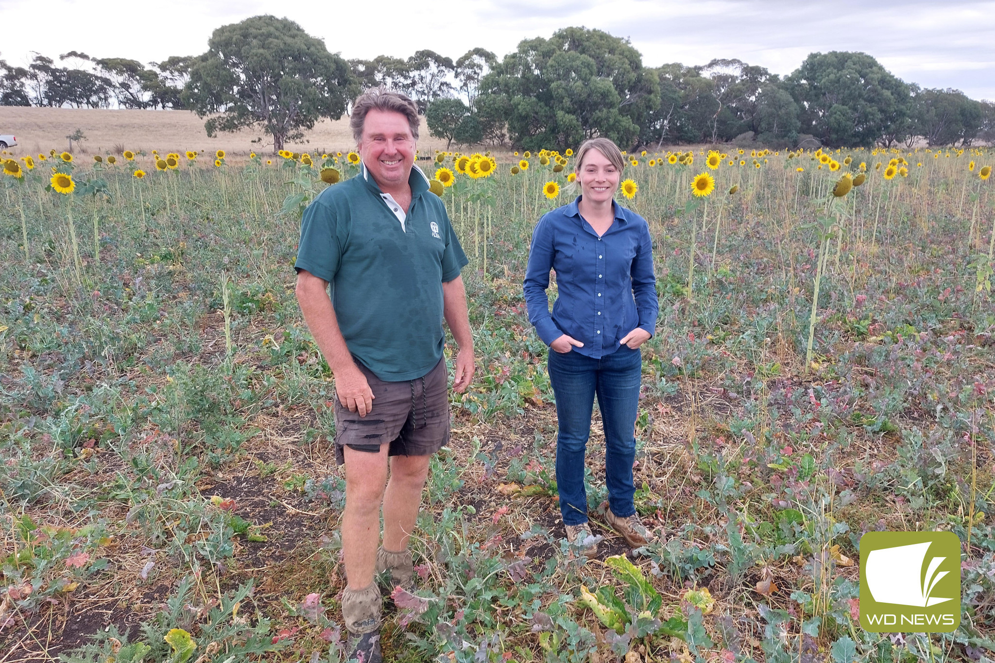 Progressive and practical: Hamish Weatherly’s historic Mortlake farm will open its gates this month for a special Multispecies Field Day, with expert Jade Killoran from Healthy Farming Systems attending as guest presenter.