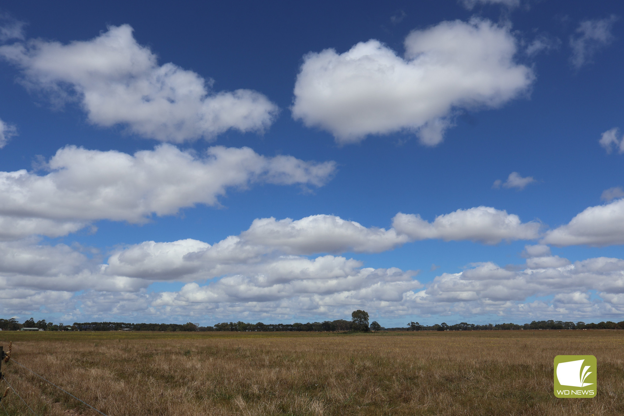 Let it rain: Terang and Mortlake experienced rainfall above the long-term average during January, bringing a wet start to 2024.