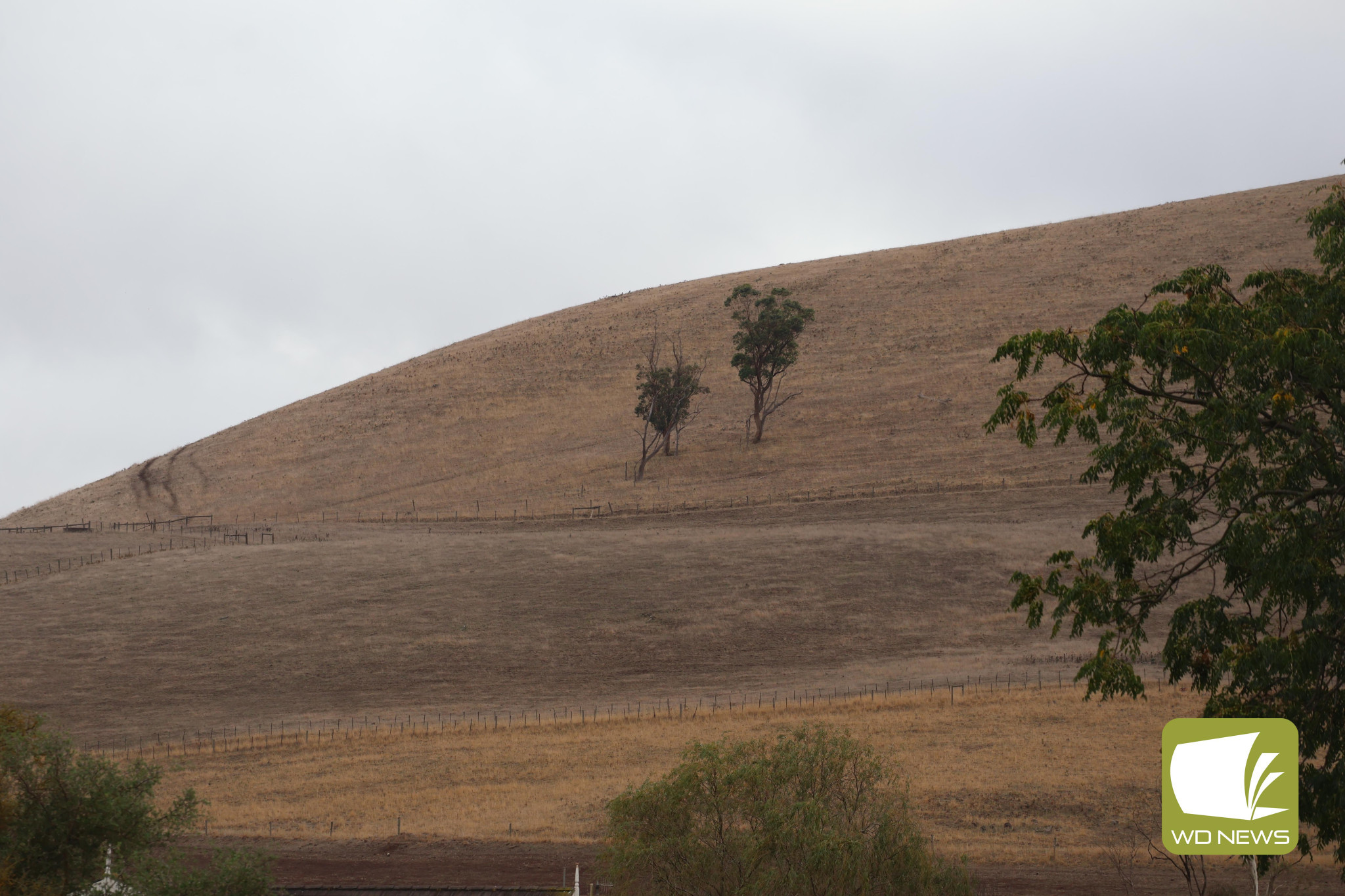 Drought conditions: Terang and Mortlake continued to experience low levels of rain throughout April. Pictured is the dry landscape over Mount Shadwell.
