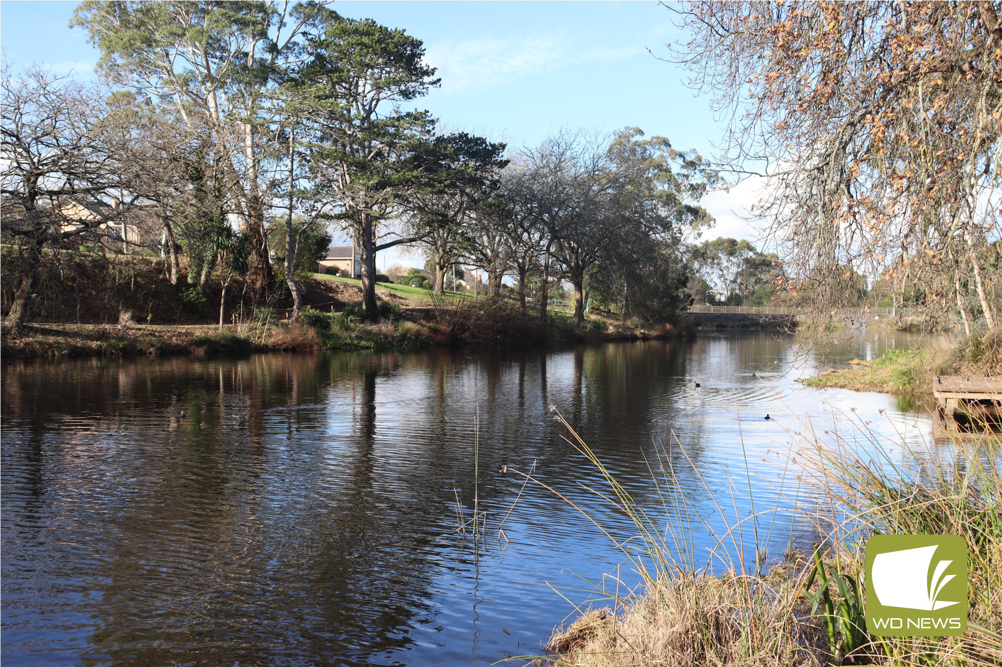 Go fish: 200 fish have been released in the Cobden Lake these school holidays as part of a State Government program to encourage outdoor activity.