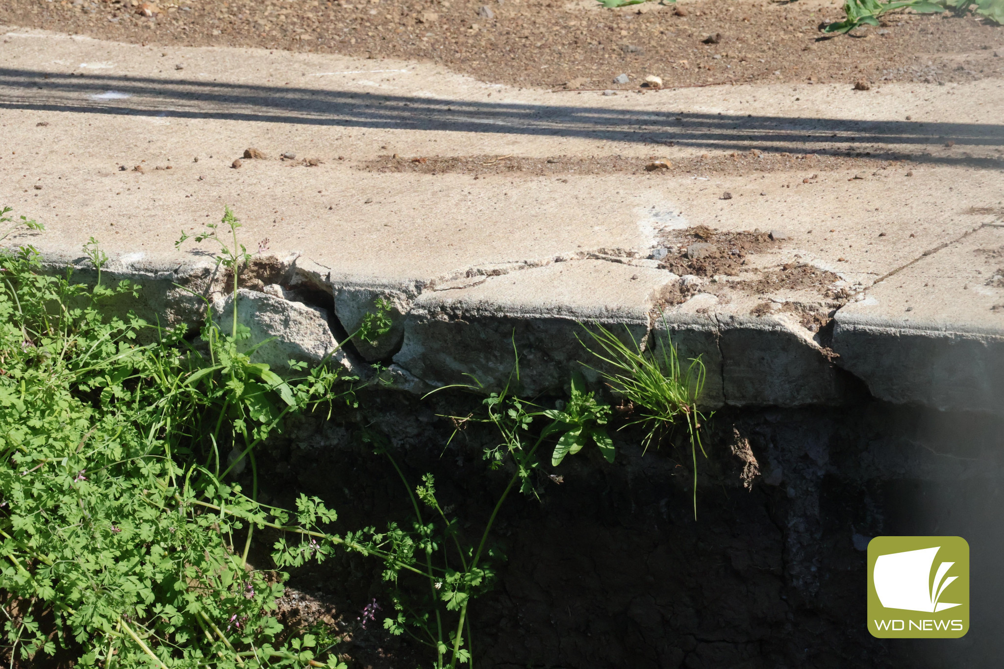 Broken: Sewerage works have damaged a recently-laid footpath in Camperdown.