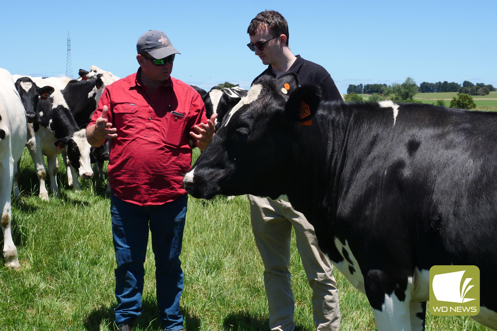 Dairy insights: Fonterra Oceania opens opportunity for supplying farms to gain enhanced support to improve efficiency and profitability.