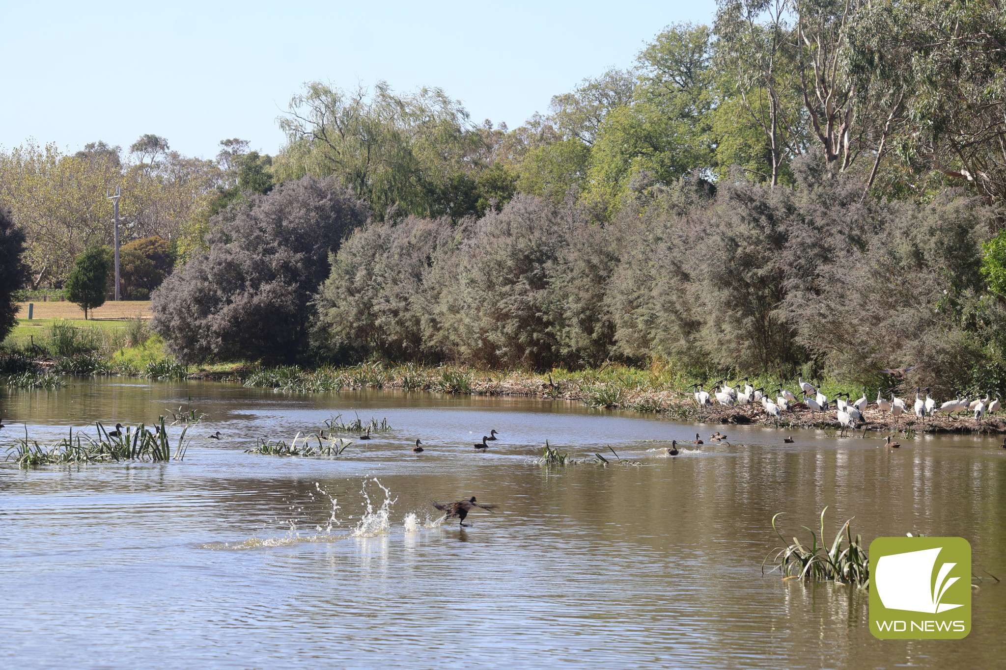 Dry spell continues: Terang and Mortlake experienced rainfall well below the long-term average during February as the run of dry weather continues.