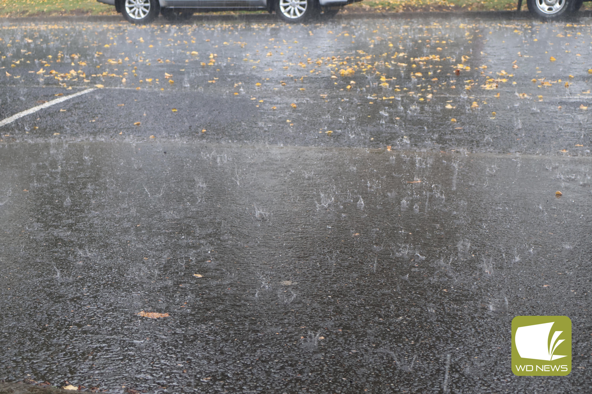 Rain welcomed, but more needed - feature photo