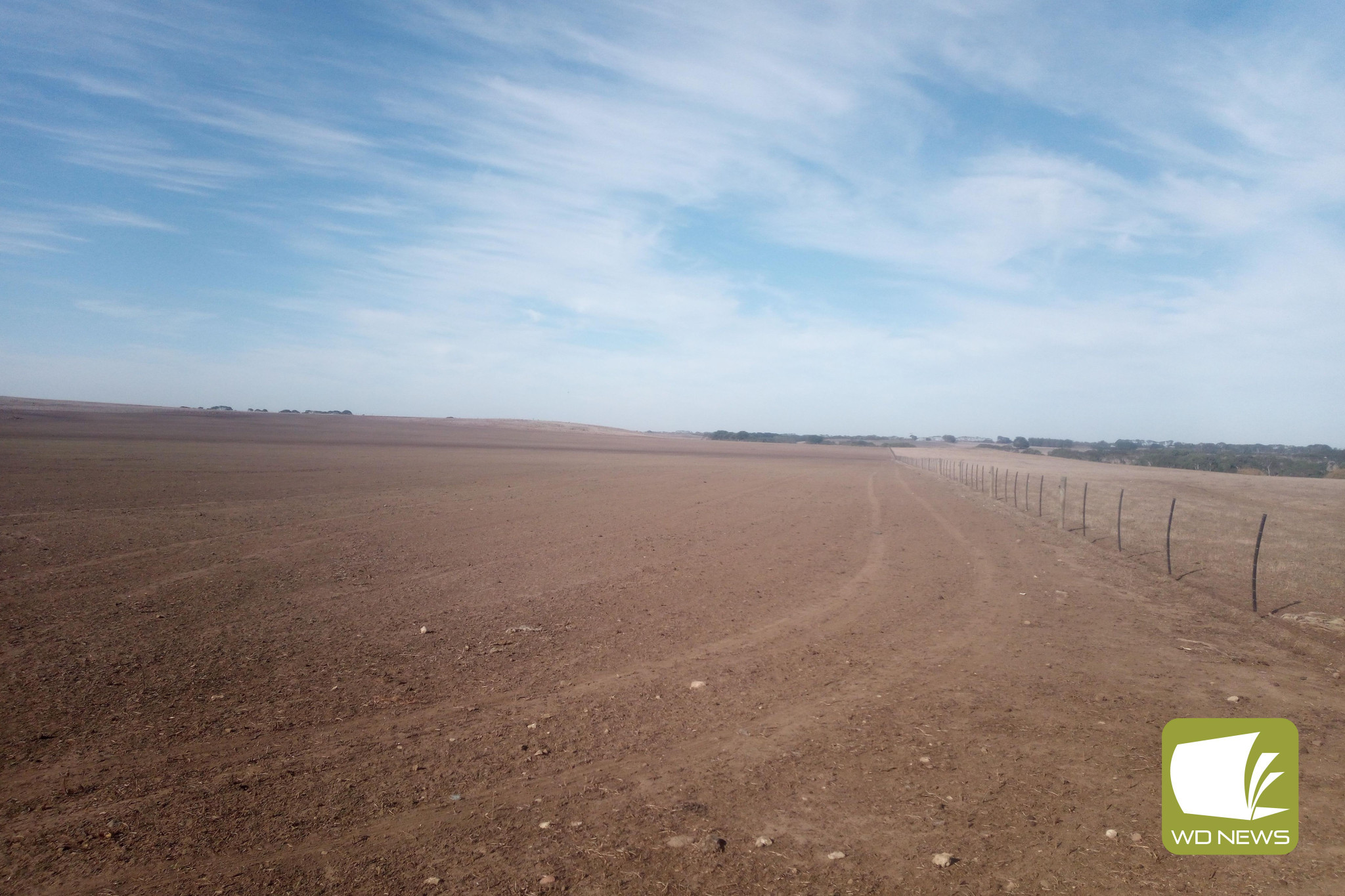 Act now: Member for South West Coast Roma Britnell has called on the Victorian Government to step up in supporting farmers across the region who are enduring the worst drought she has seen in 25 years of farming.