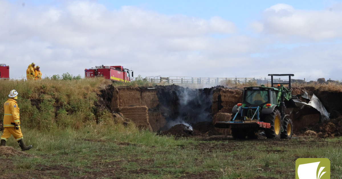 Silage stack fire prompts warning | WD News Publications | Local News ...