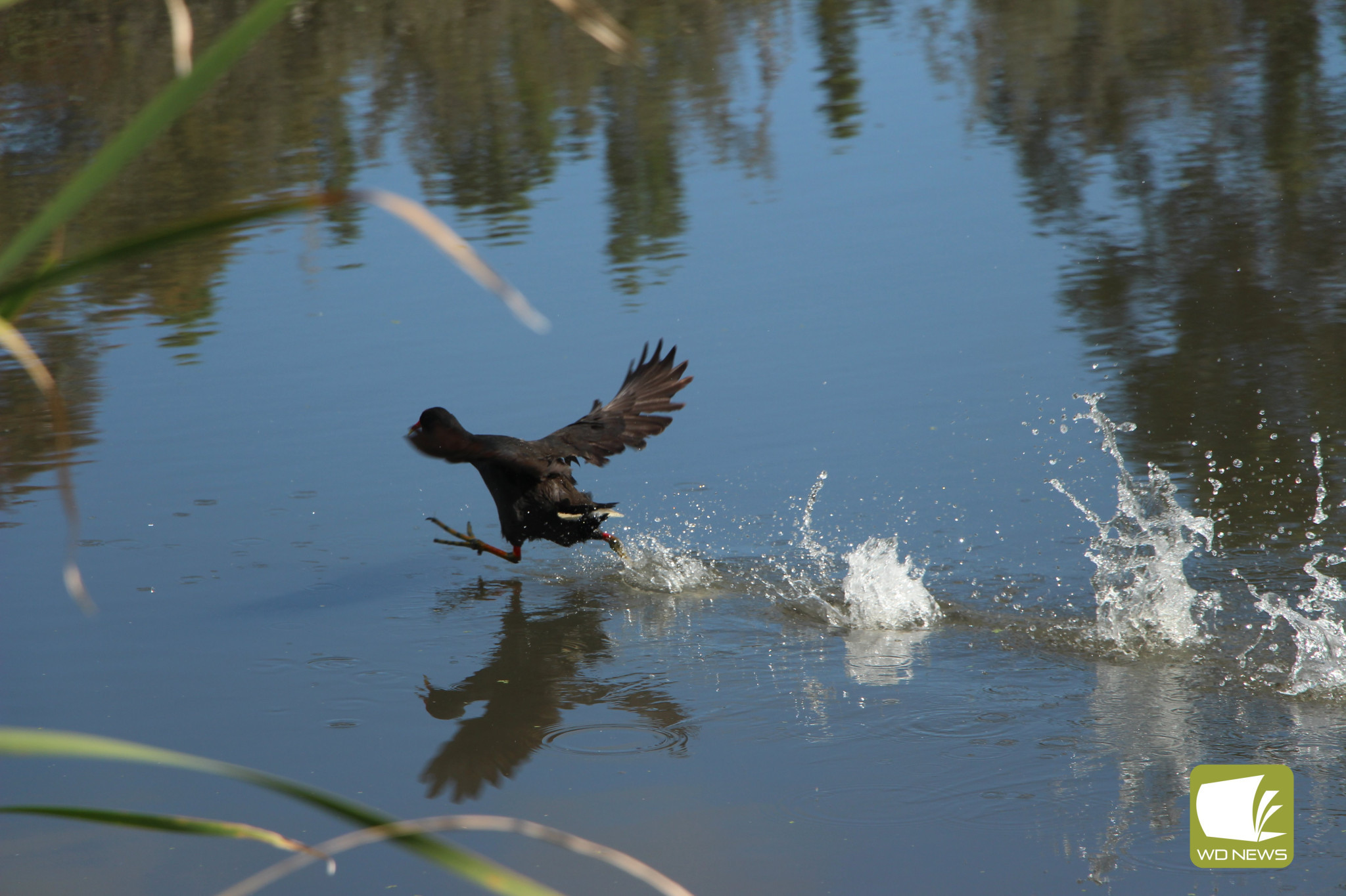 Annual rain falls: Terang and Mortlake experienced rainfall below the long-term average in 2023.