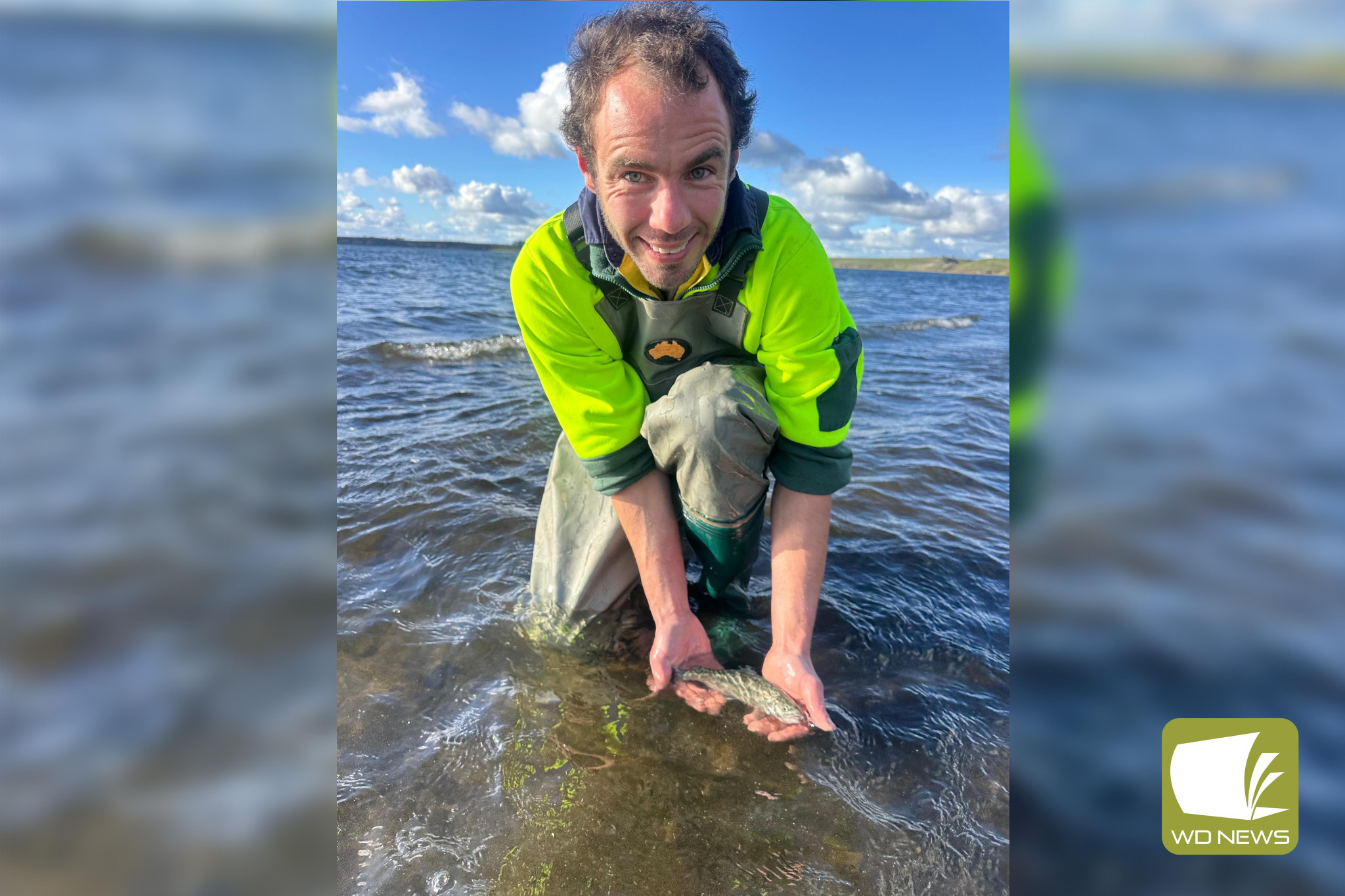 Boosted stocks: Victoria Fisheries Authority’s Mark Little with one of the tiger trout released into Lake Purrumbete and Lake Bullen Merri this week.