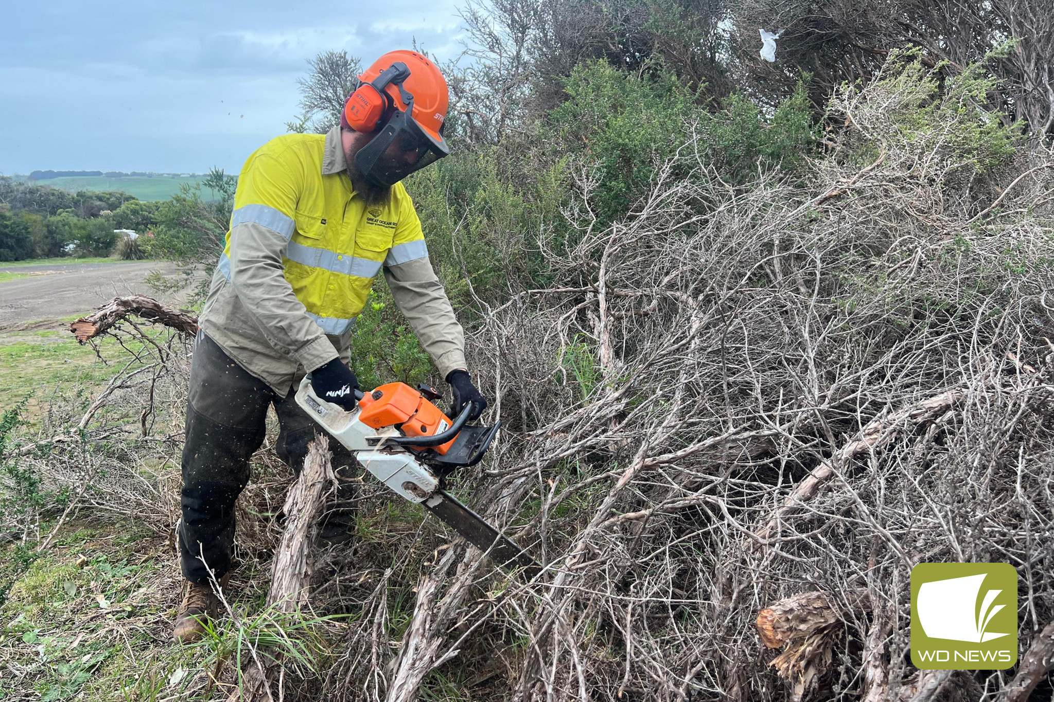 Working together: A working bee was held at the Port Campbell Recreation Reserve over three days to clean up after recent wild weather.