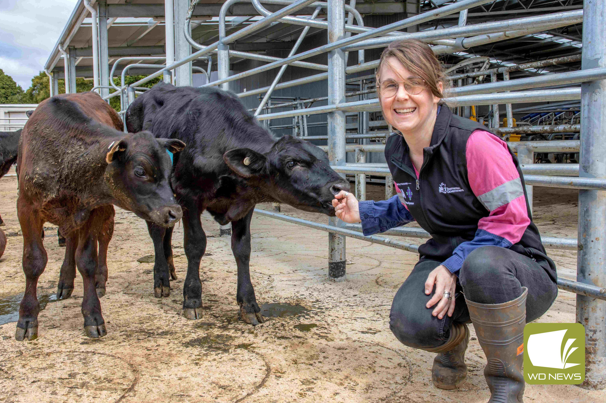 New technology: Senior researcher for the Tasmanian Institute of Agriculture Dr Megan Verdon will speak at an upcoming forum at the Hampden Hotel.