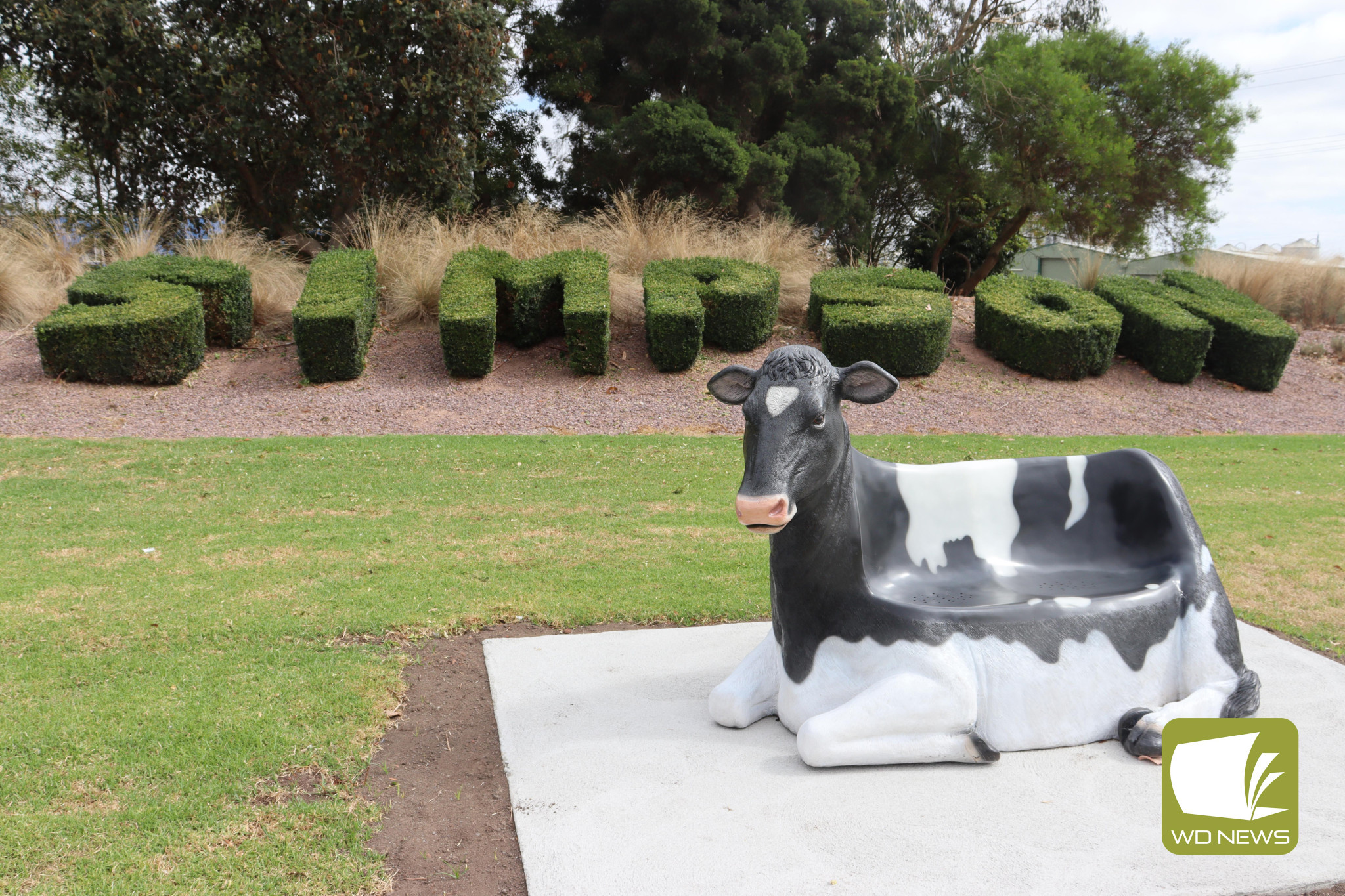 Friesian friends: The new ‘cowches’ in Jaycees Park in Simpson were recently installed by Corangamite Shire Council.