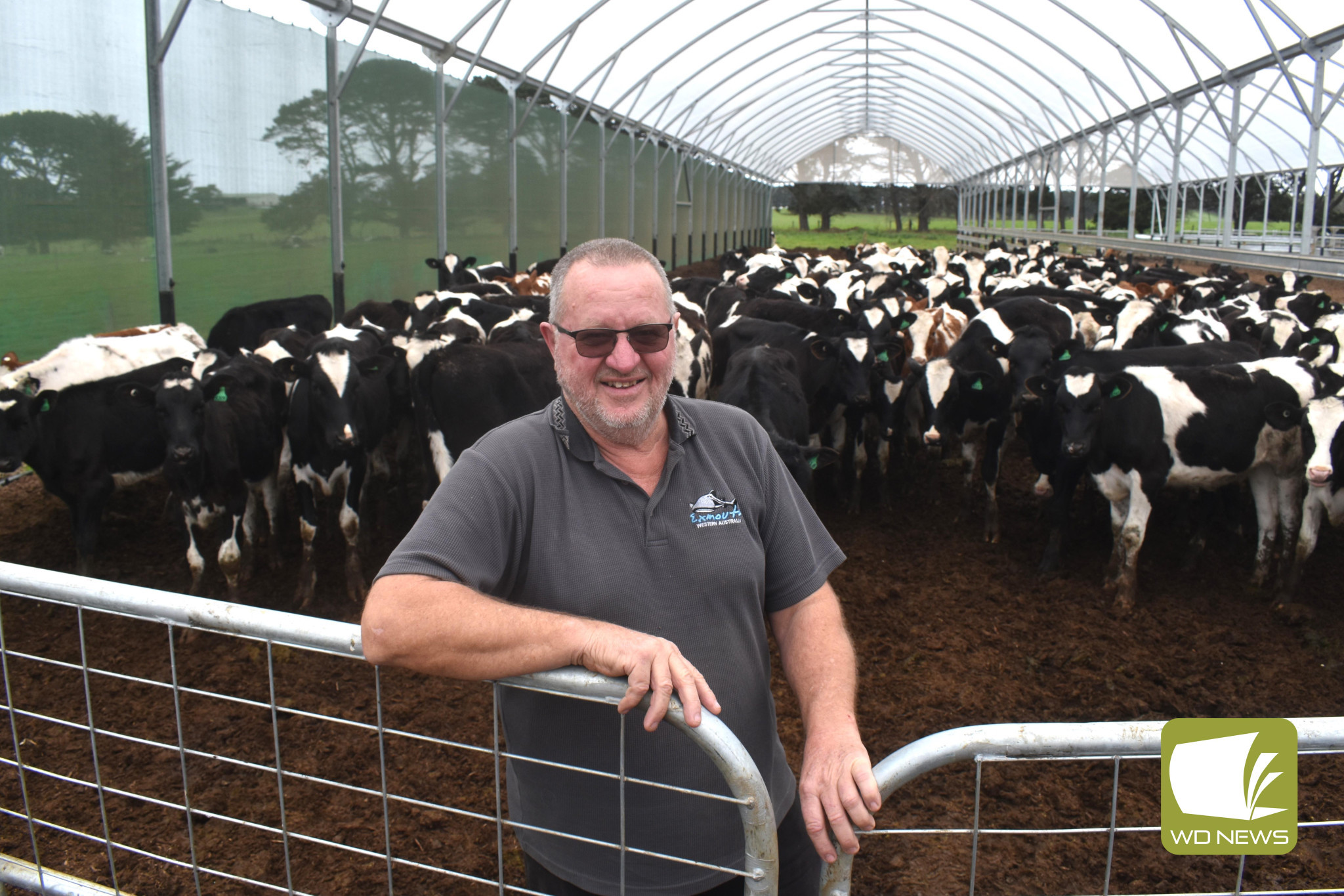 Princetown farmer Steve Brown is reaping the benefits of dairy shelters and believes they will be more widely taken up.