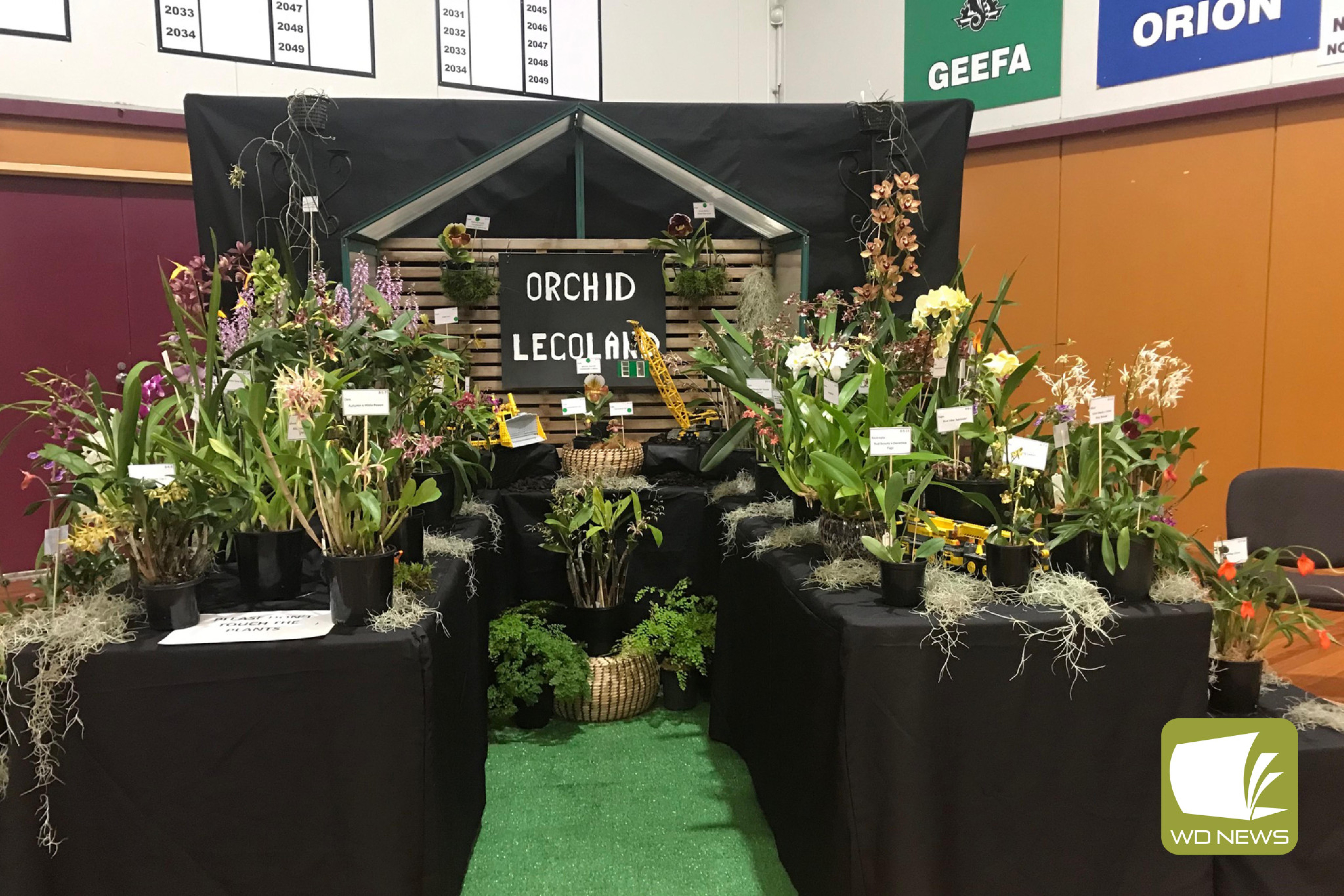 Congratulations: Cobden and District Orchid Club took part in the 23rd Annual Victorian Orchid Club’s Challenge weekend recently.