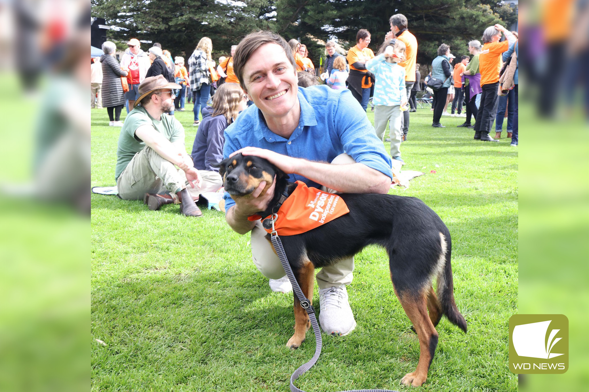 Hard working and reliable: Orange kelpies, have begun popping up across the region in support of independent candidate Alex Dyson at this year’s federal election.