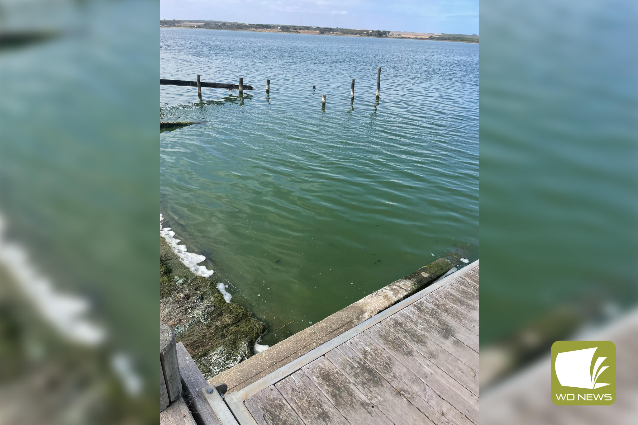 Algae: Residents have been reminded to take care around the Curdies River and Peterborough Coastal Reserve.