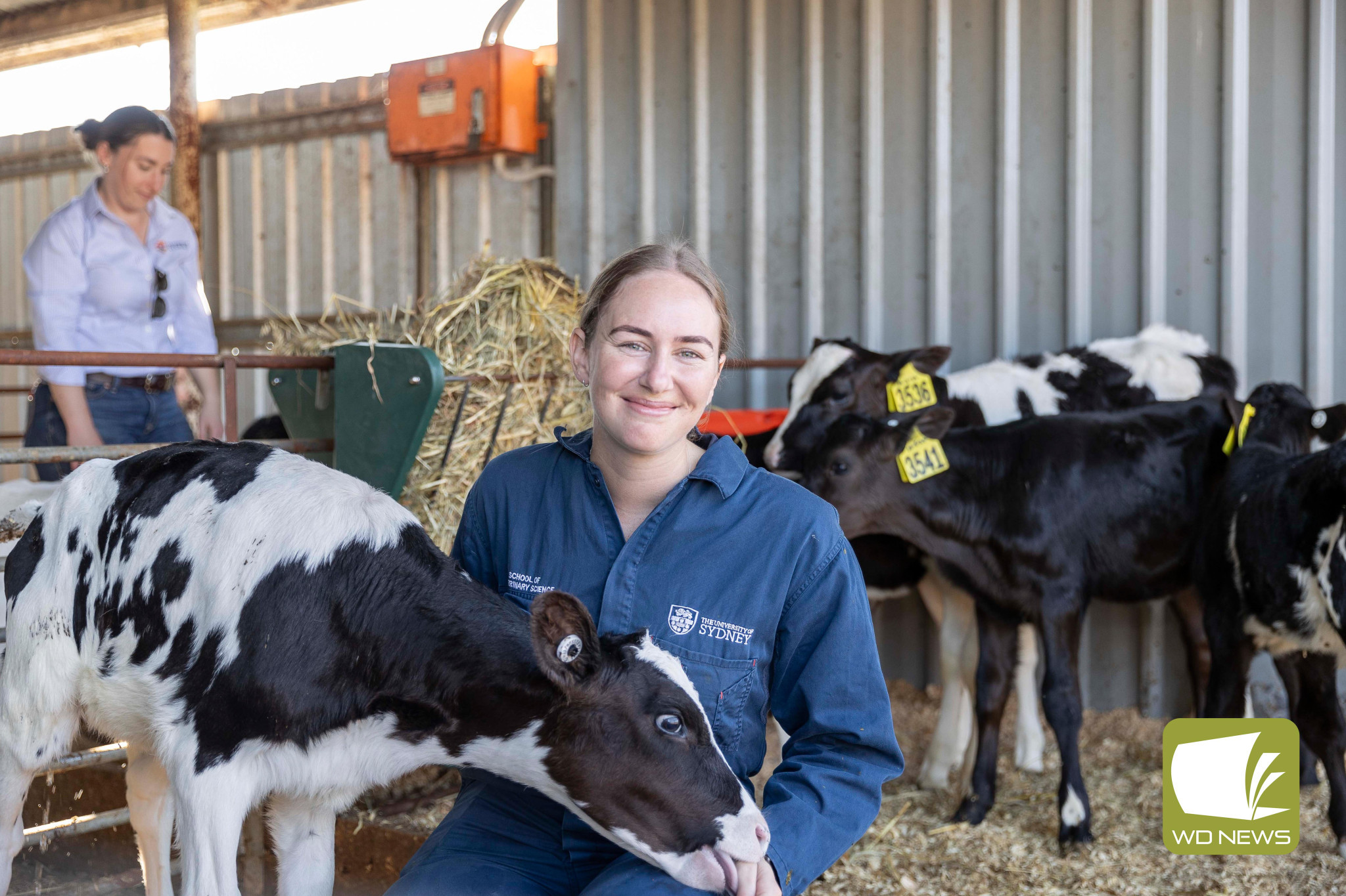 Dairy UP PhD student, Alice Shirley, is exploring how cattle respond differently to heat events.