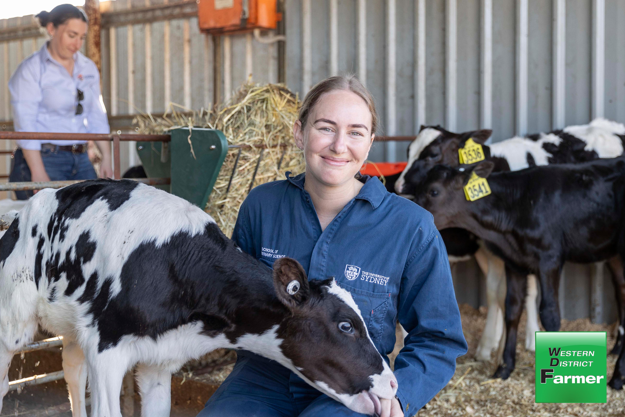 Dairy UP PhD student, Alice Shirley, is exploring how cattle respond differently to heat events.