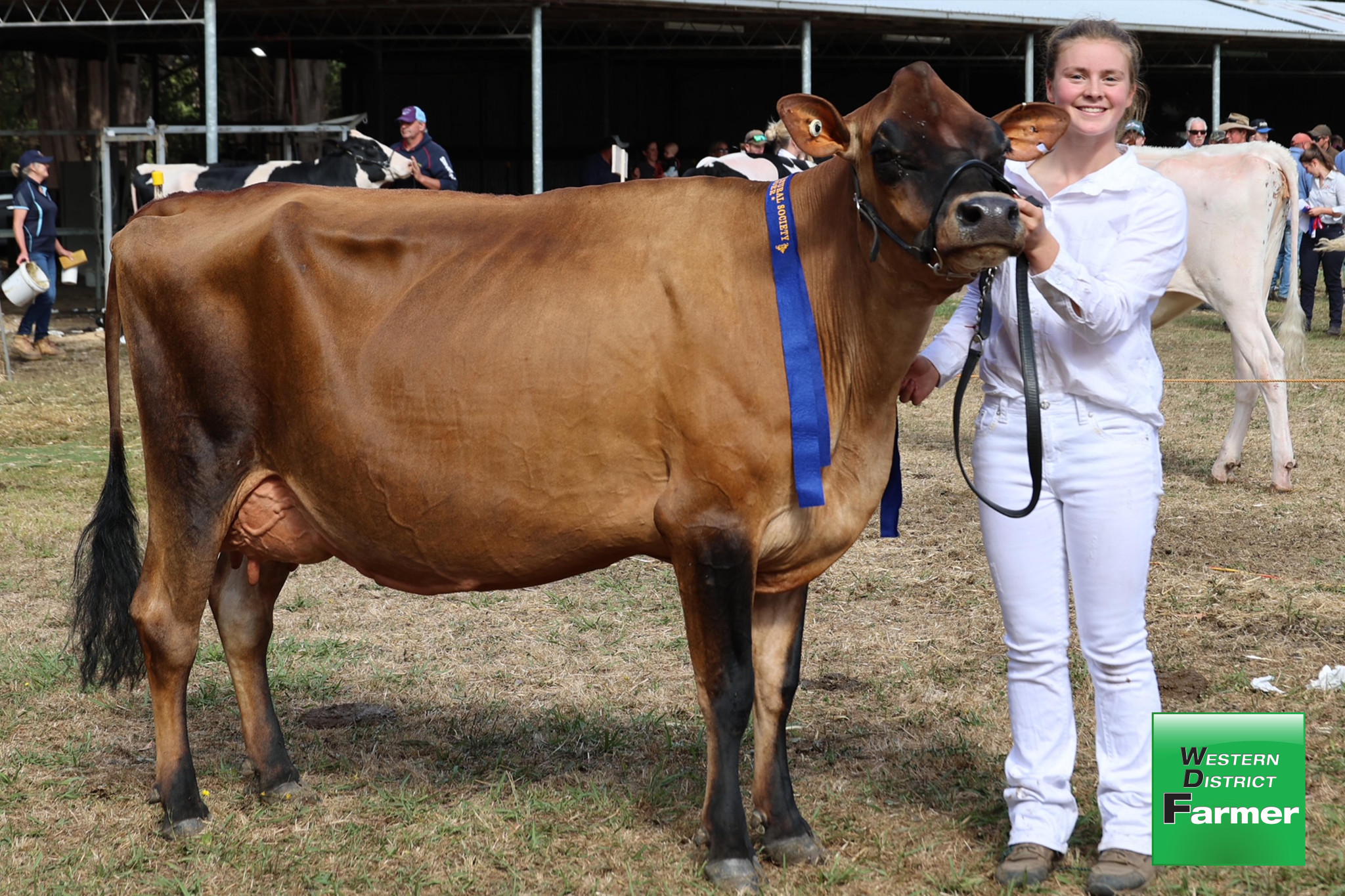 Anna Dickson’s family topped the latest Australian Breeding Values (ABV) lists.