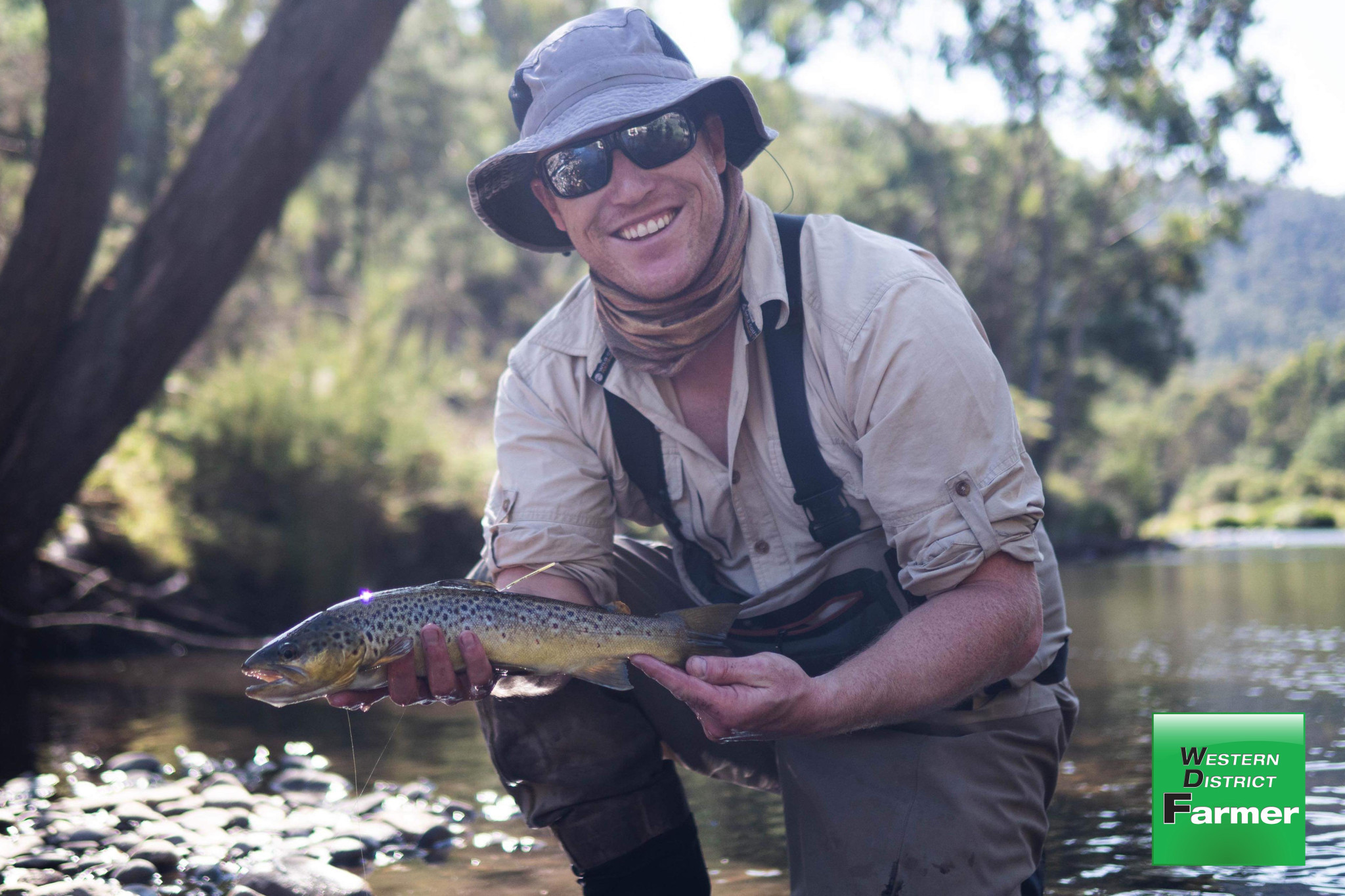 VRFish appoints executive officer - feature photo