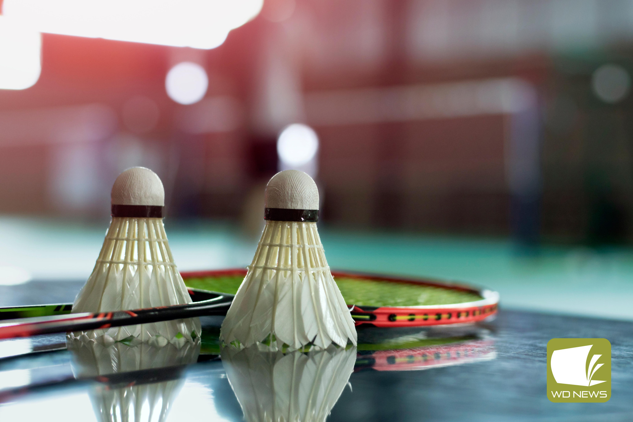 Terang badminton results - feature photo