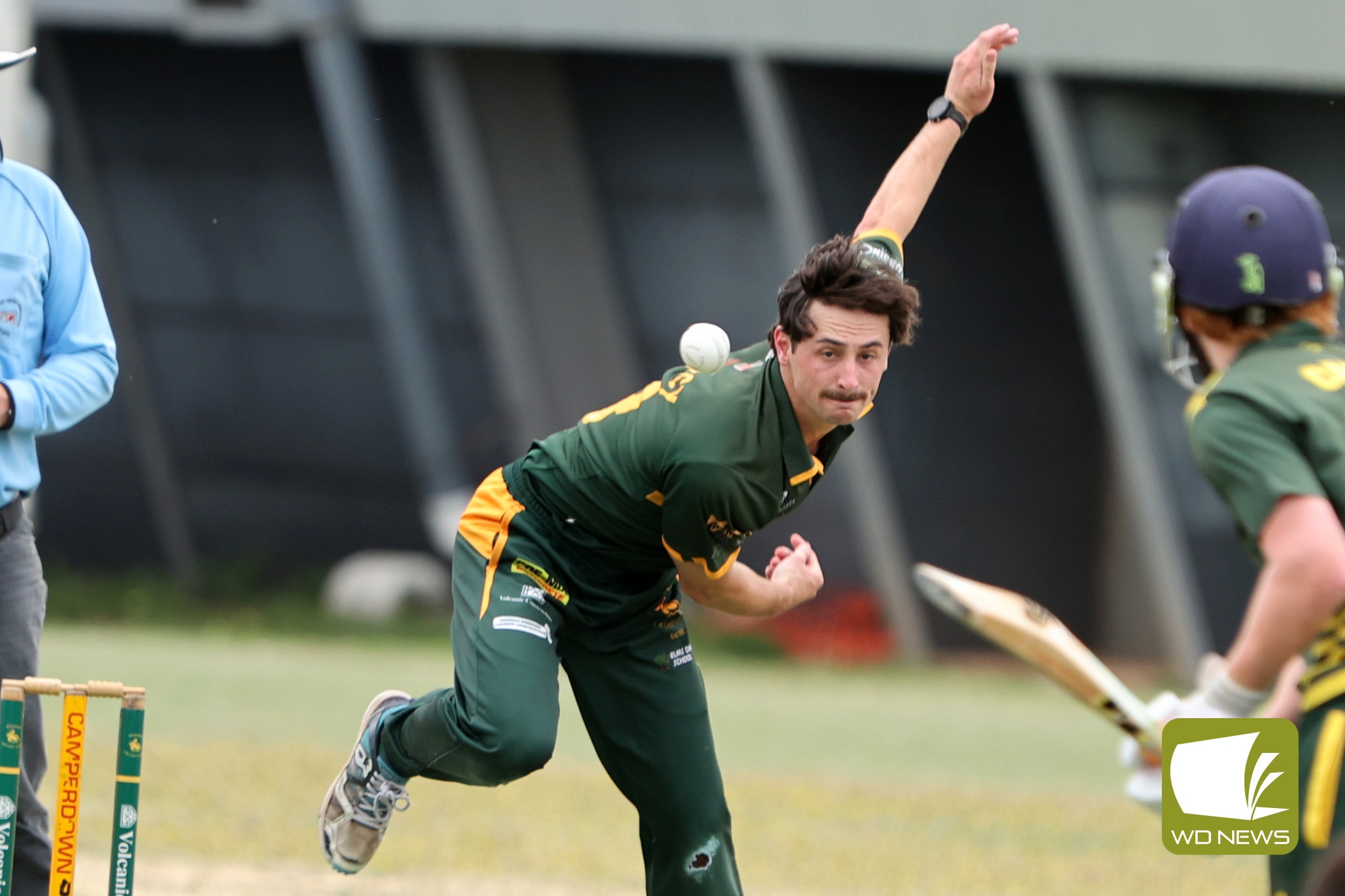 Local Cricket Action - feature photo