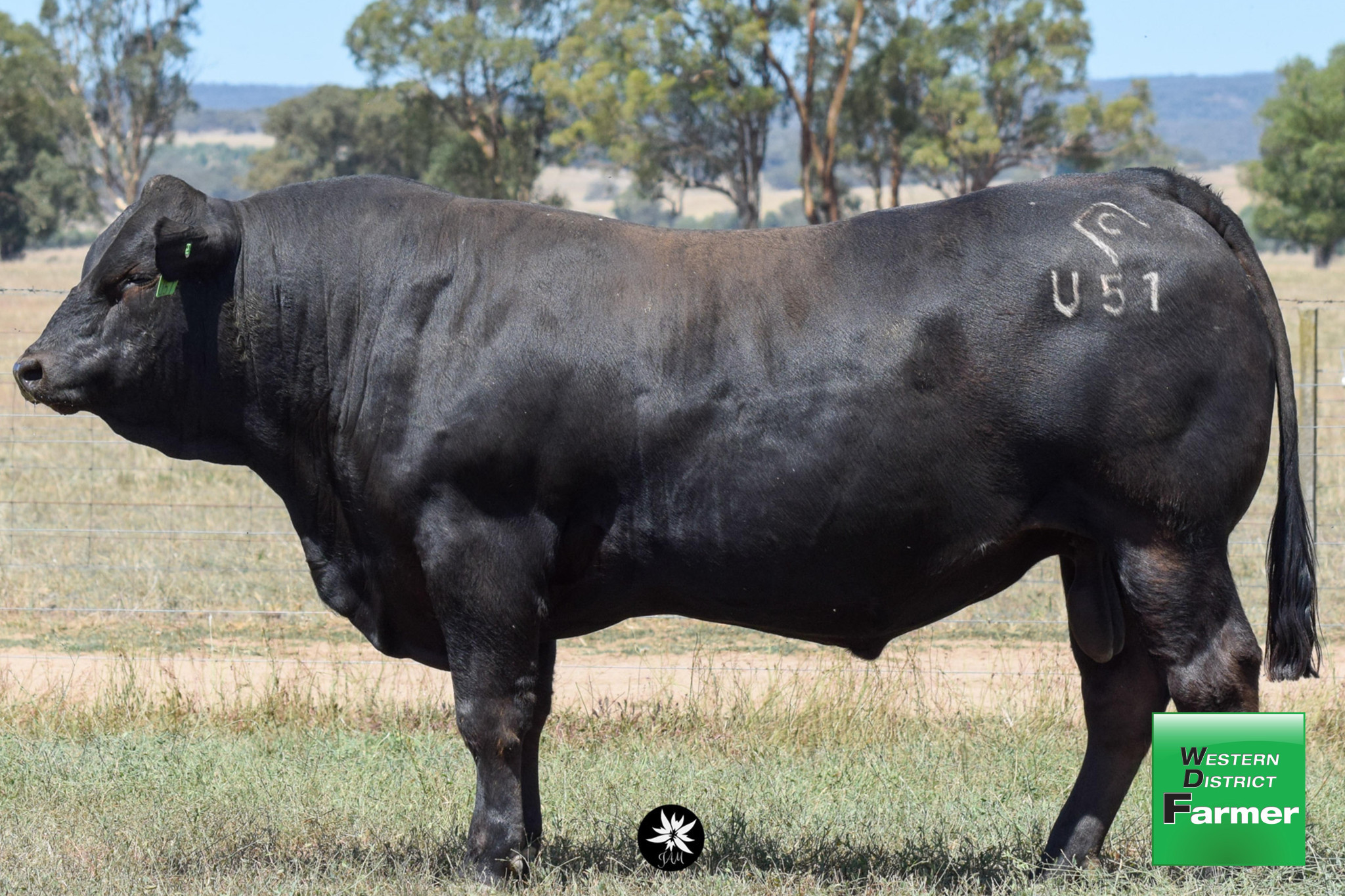 Lot 2 - Chateau Ulverstone U51 - Photo Credit: JAM Design & Photography