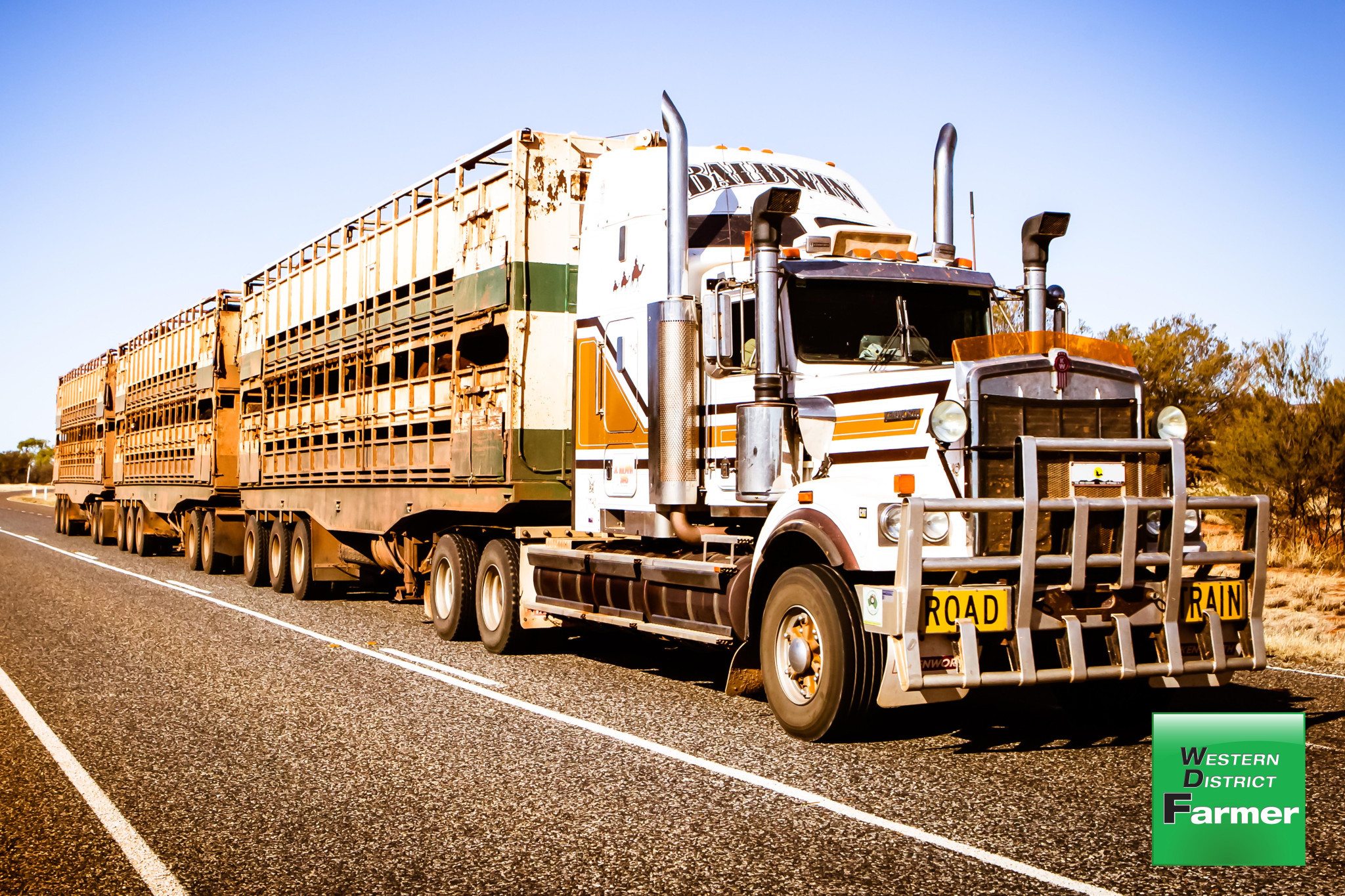 New taskforce targets livestock transport - feature photo