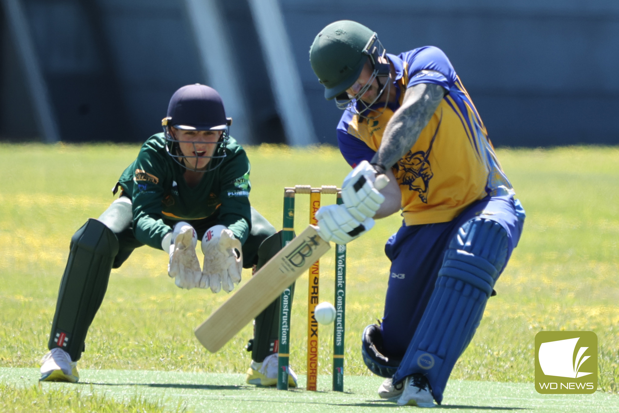 Local Cricket Action - feature photo