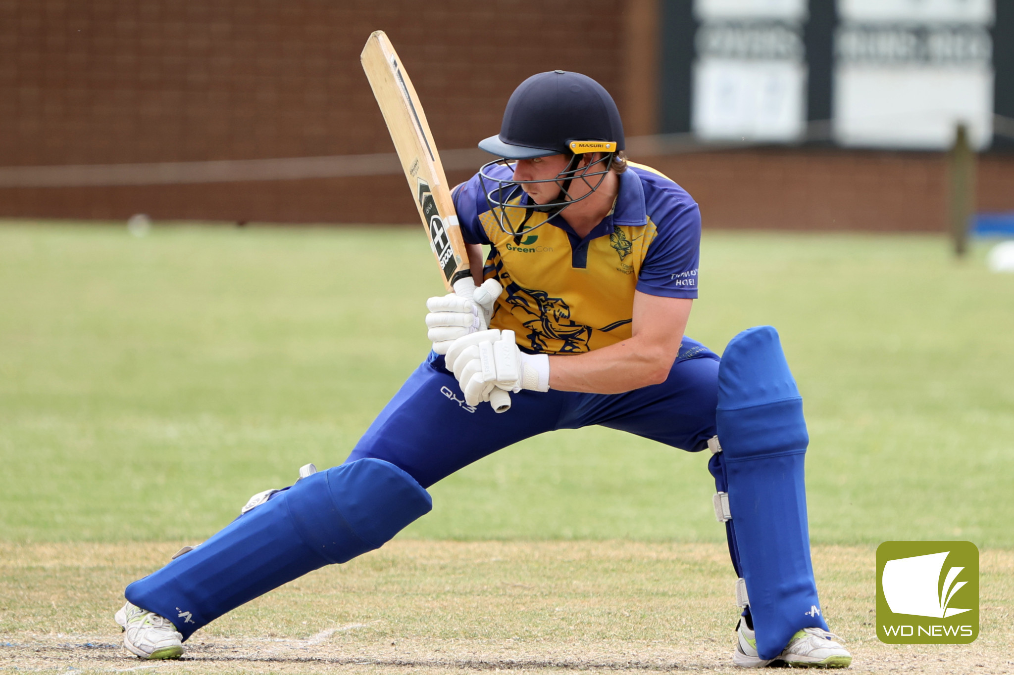 Local Cricket Action - feature photo