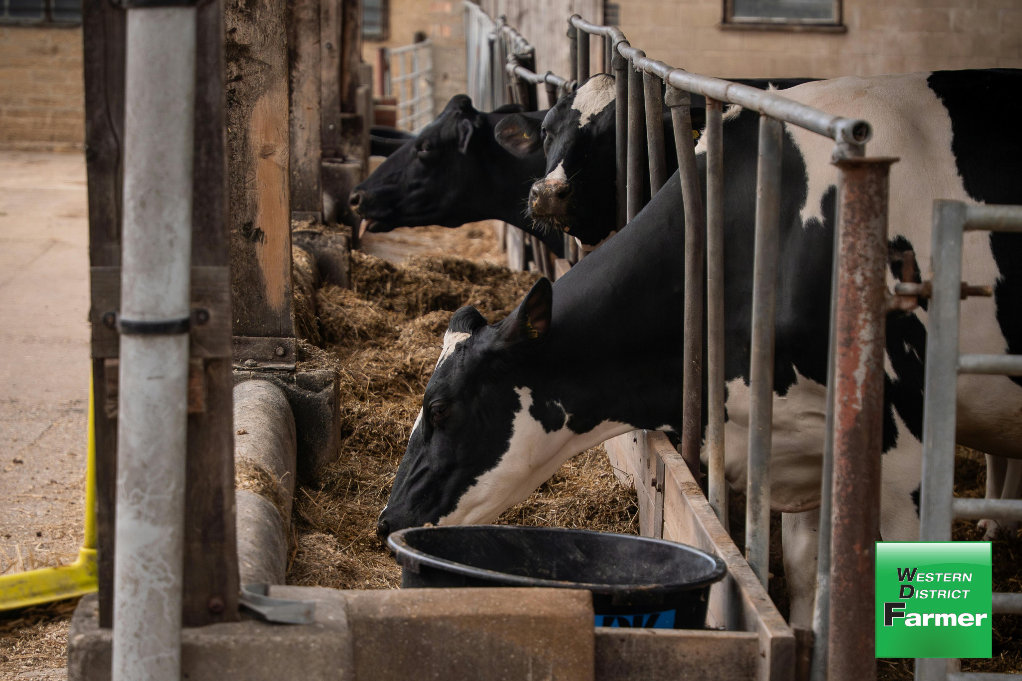 Feed Central launches Hay Safe portal - feature photo