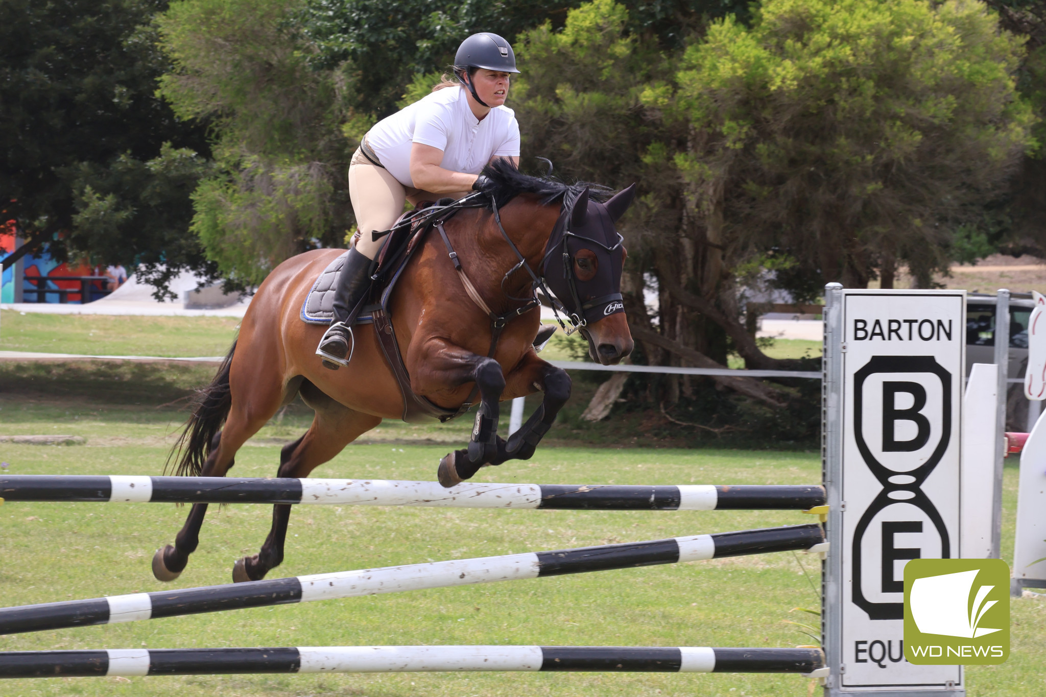 Showjumpers head to Mortlake - feature photo