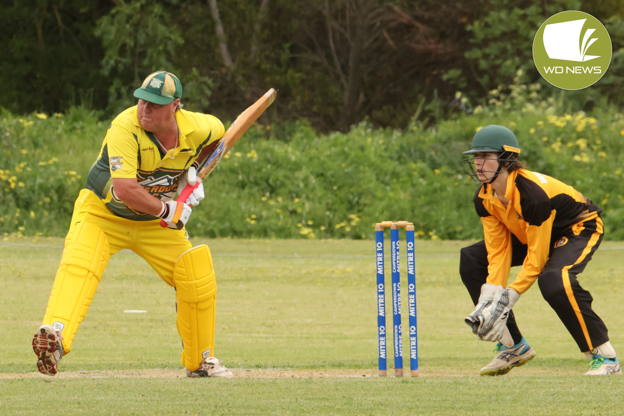 Tigers split the points - feature photo