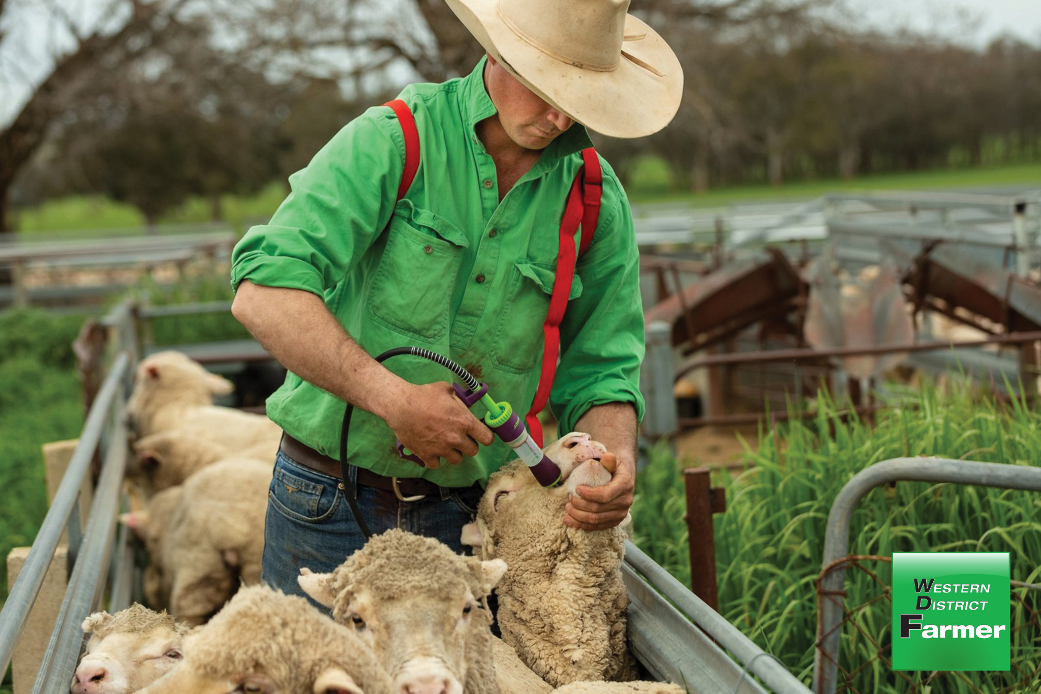 Monitor for worms this Spring - feature photo