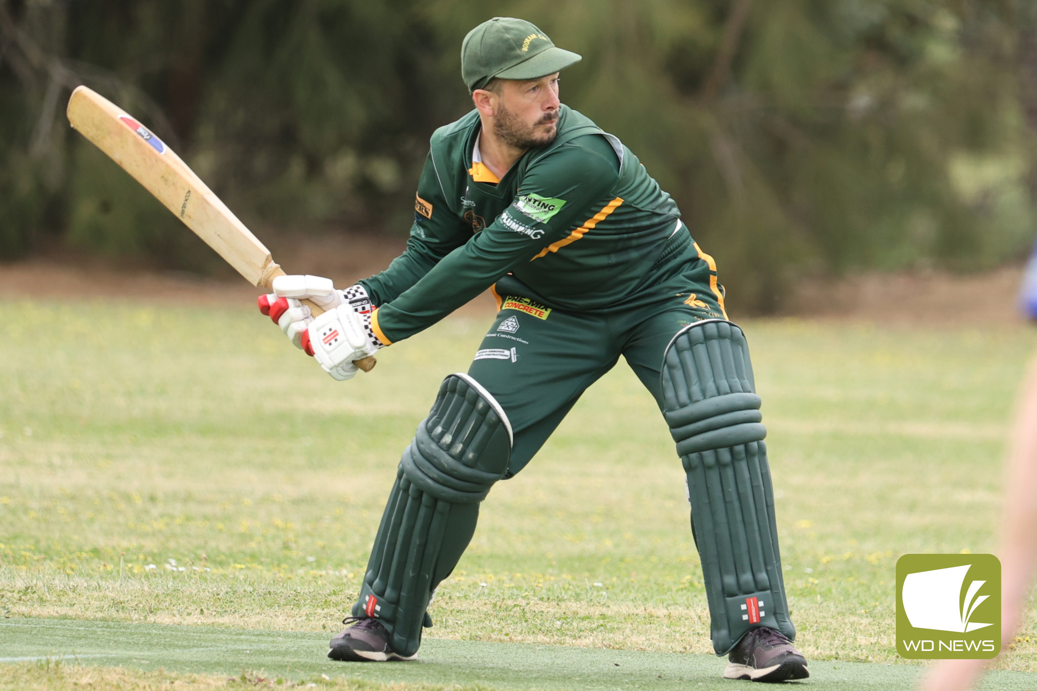 Local Cricket Action - feature photo