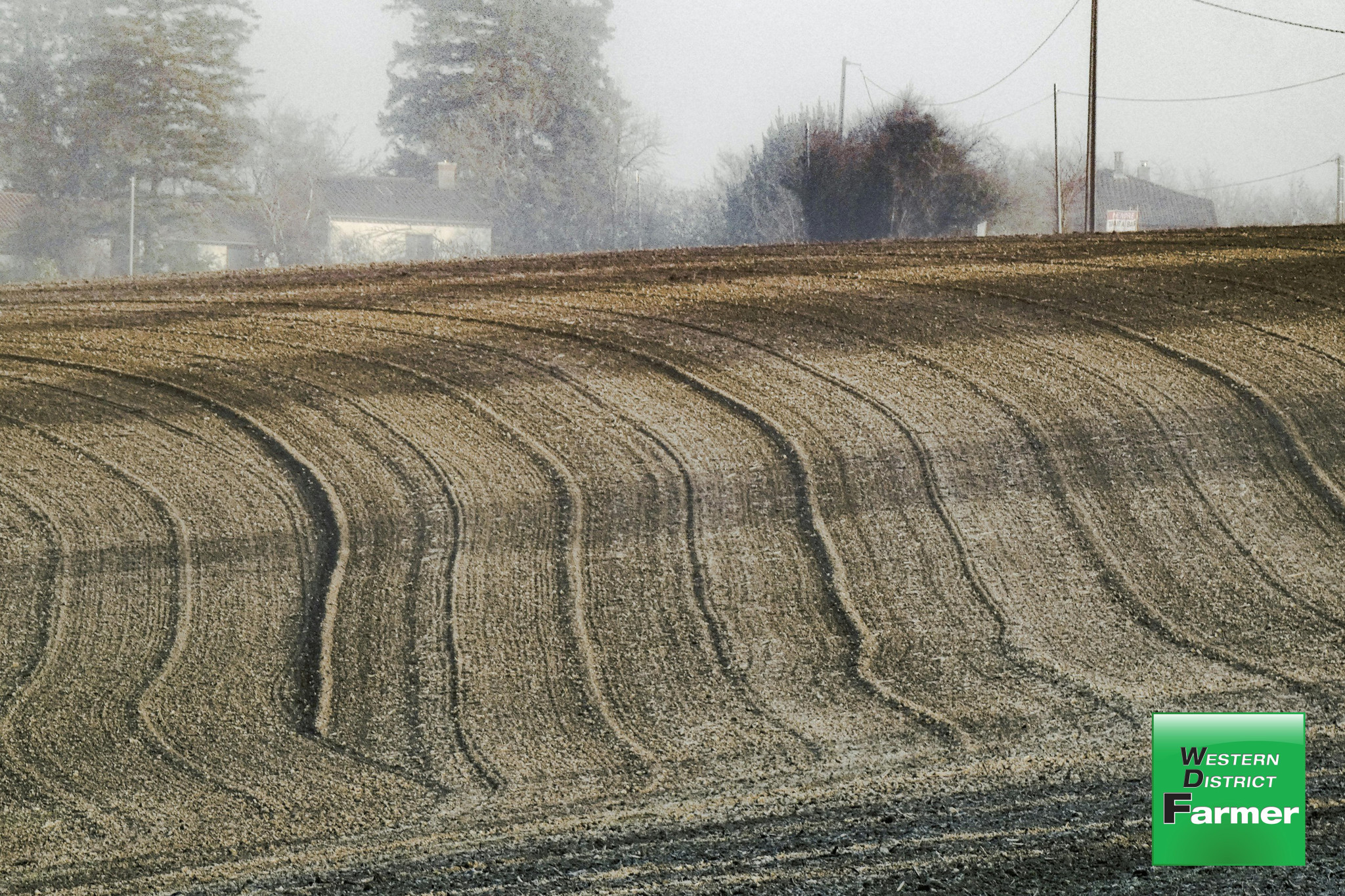 Tackling bare paddocks - feature photo