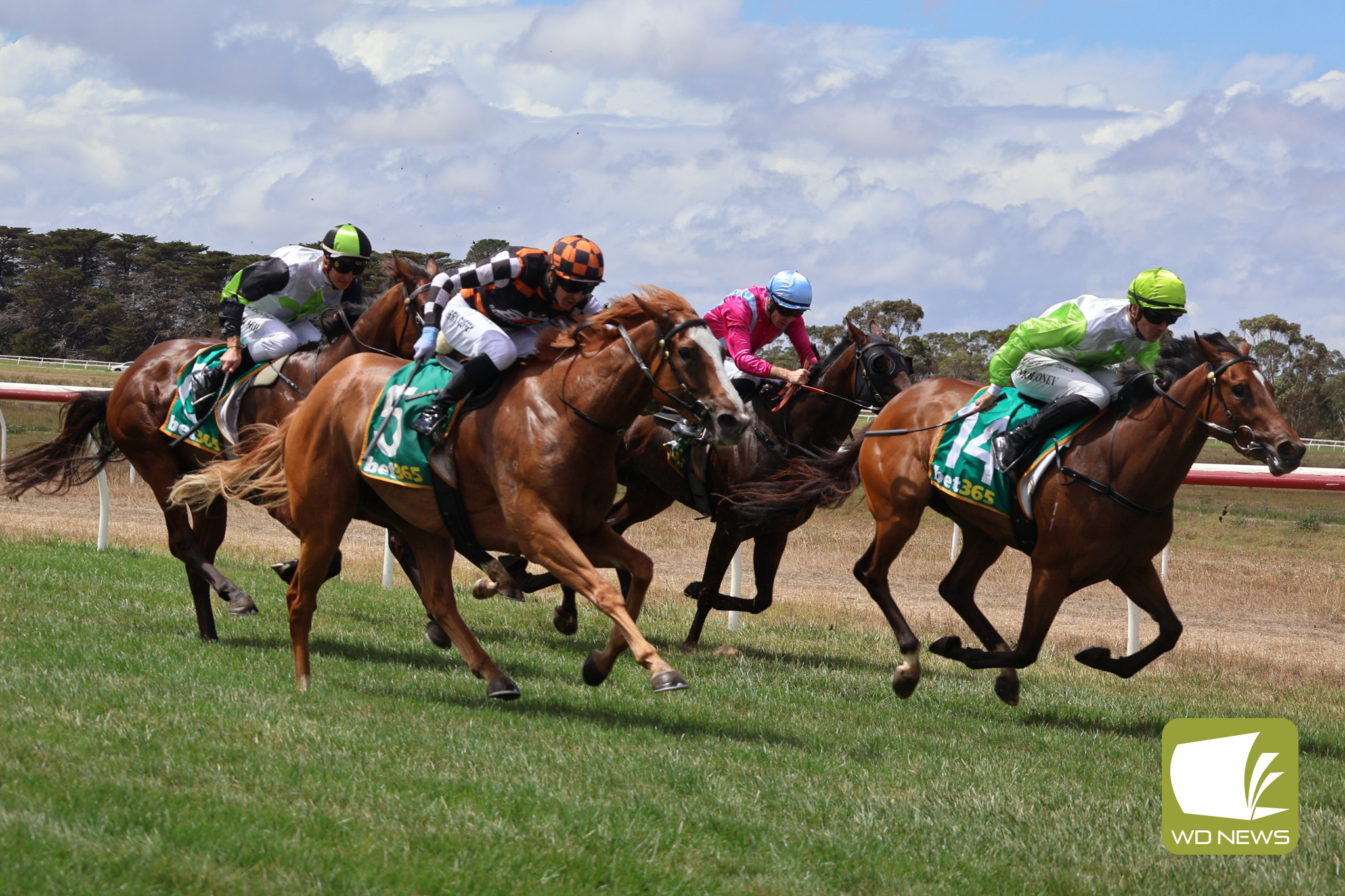 Double for Dabernig at Terang - feature photo