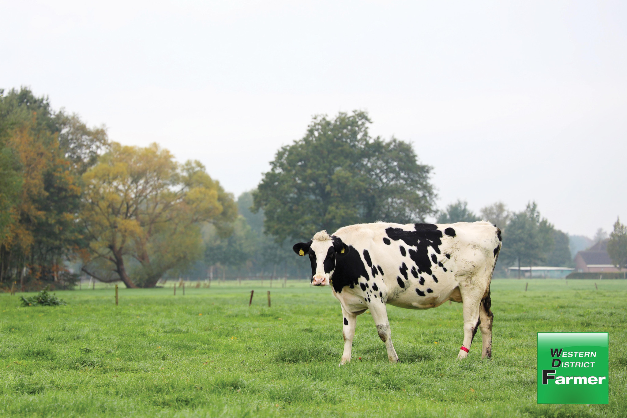 Fee relief for farmers - feature photo