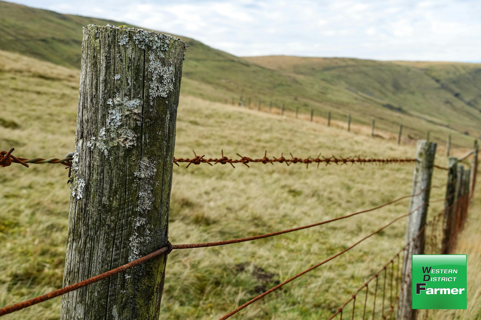 Check council regulations before replacing fences - feature photo