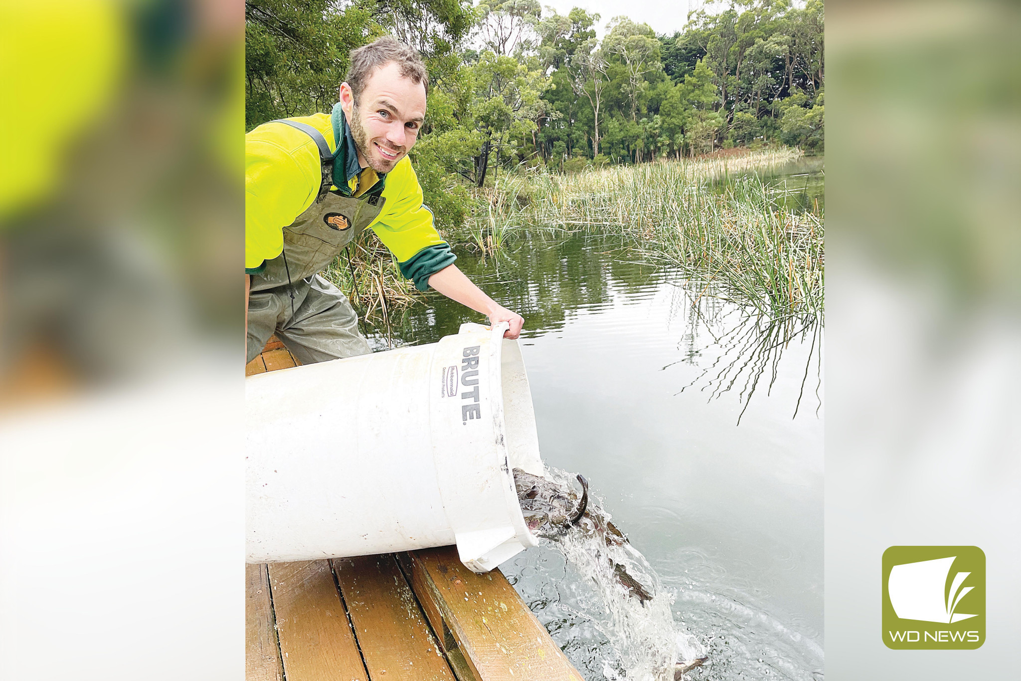 State stocking trout locally, Local News