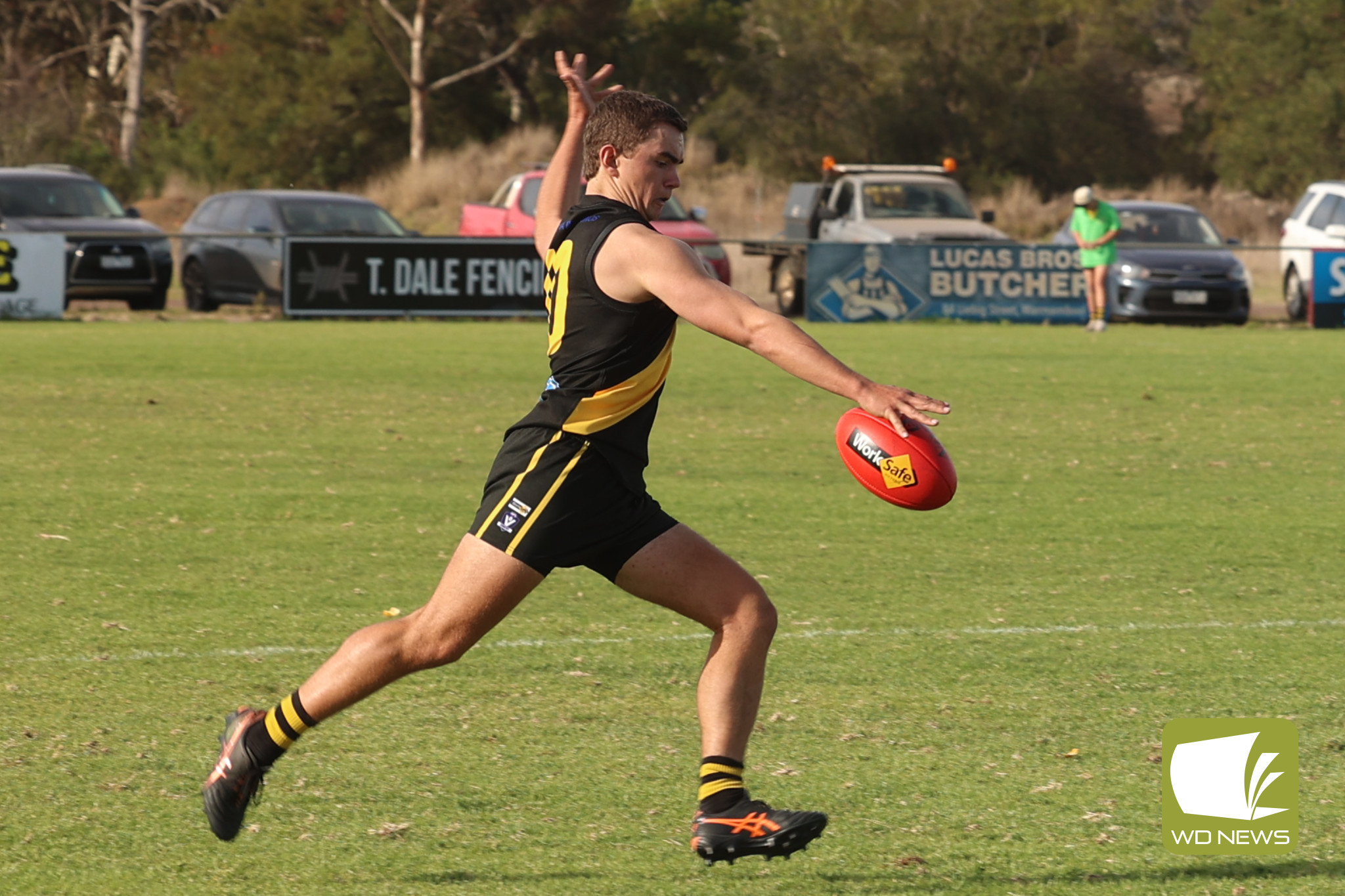 Tigers win at home - feature photo