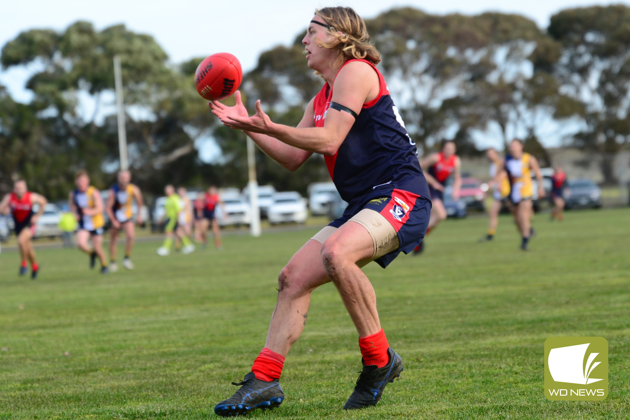 Demons strong season continues - feature photo