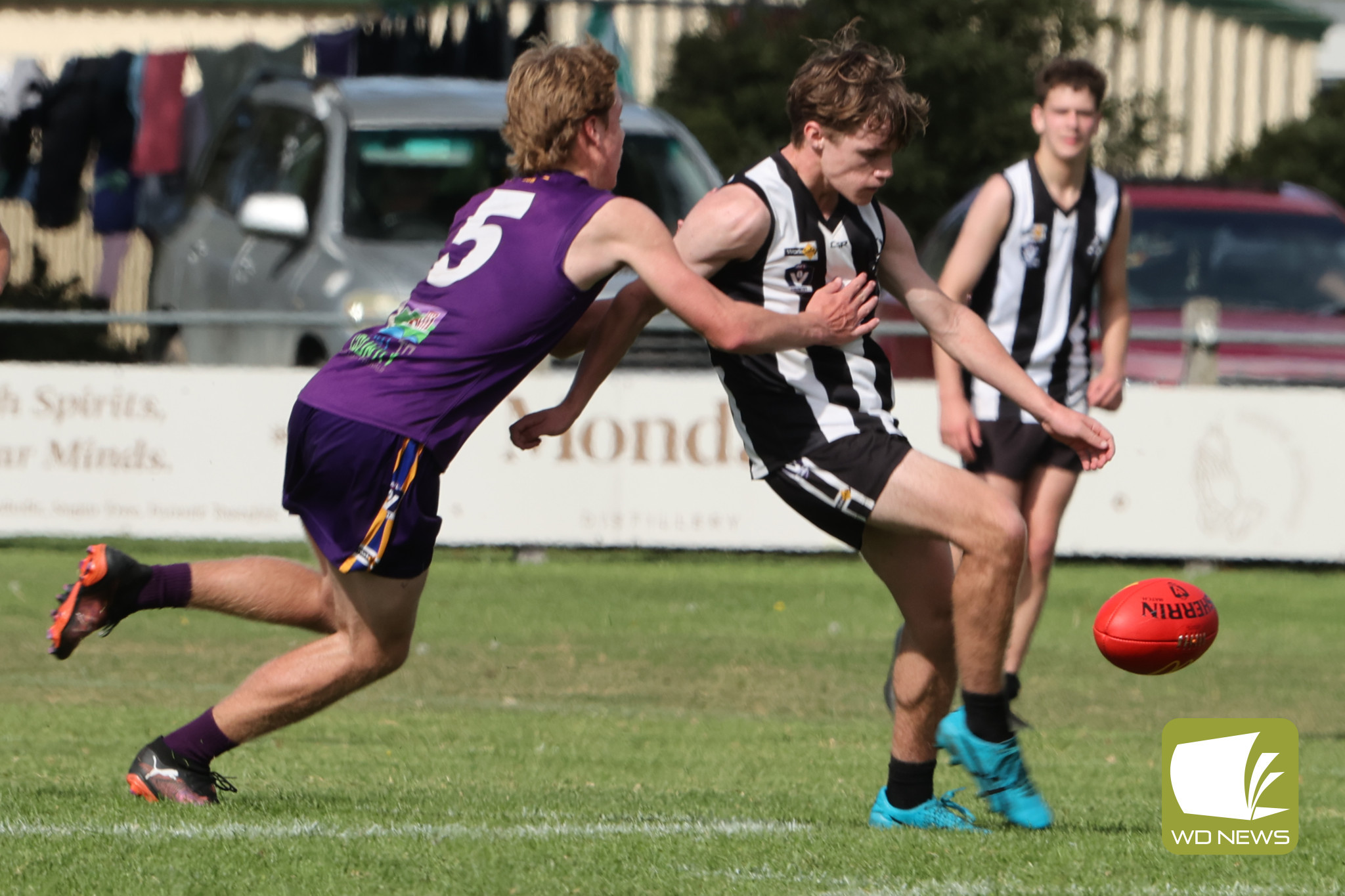 Three from three for Pies - feature photo