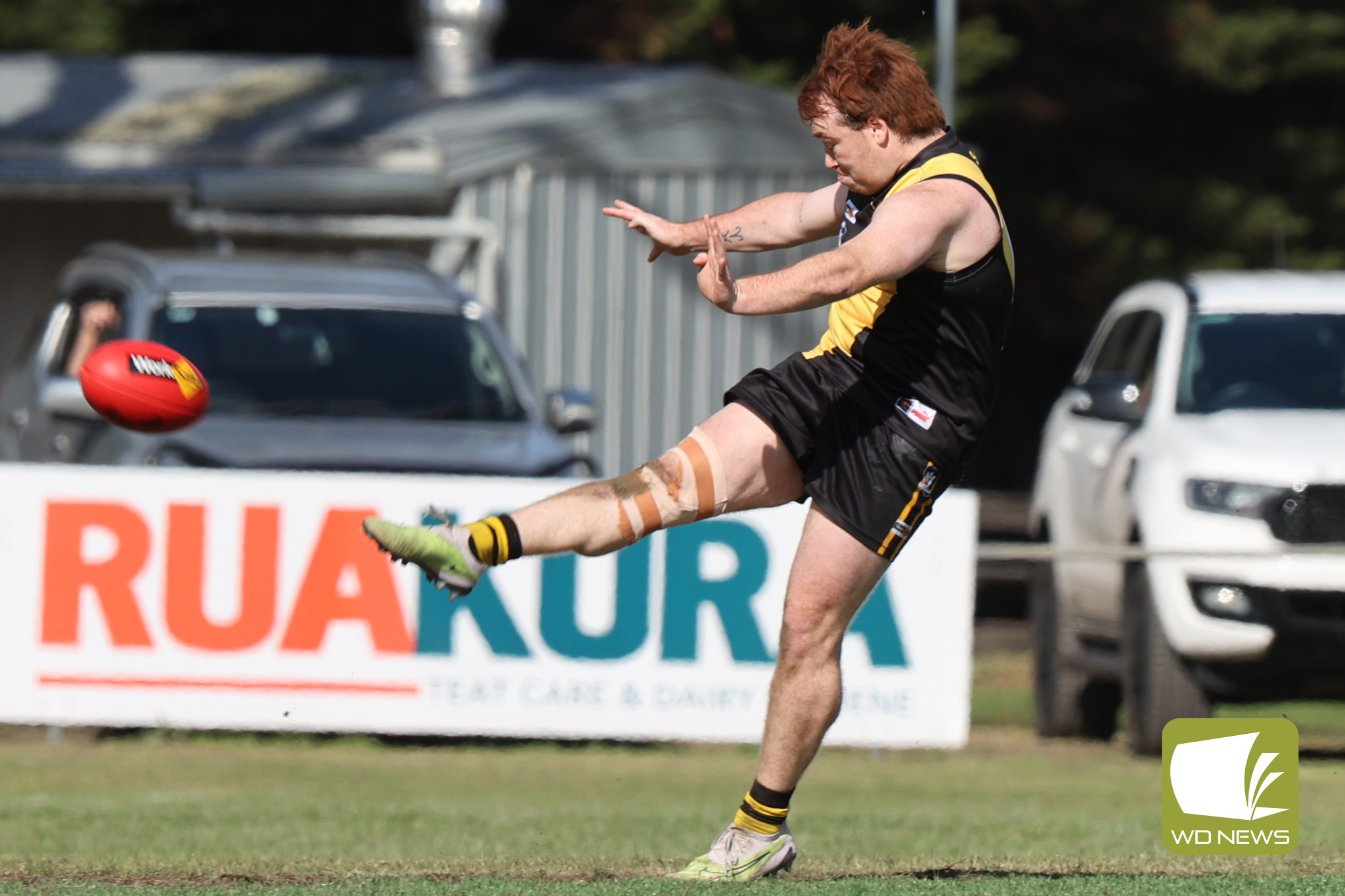 Tigers struggle at home - feature photo
