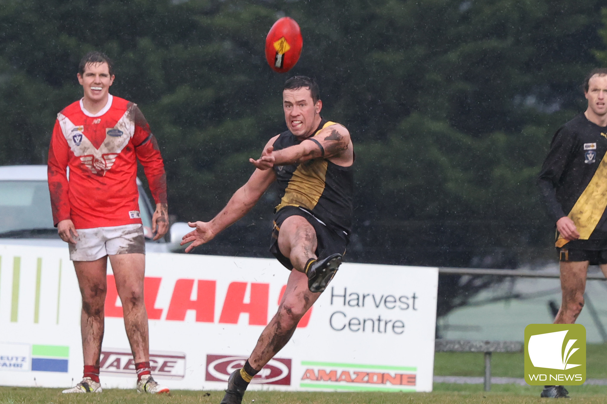 Alvie too strong for Tigers - feature photo
