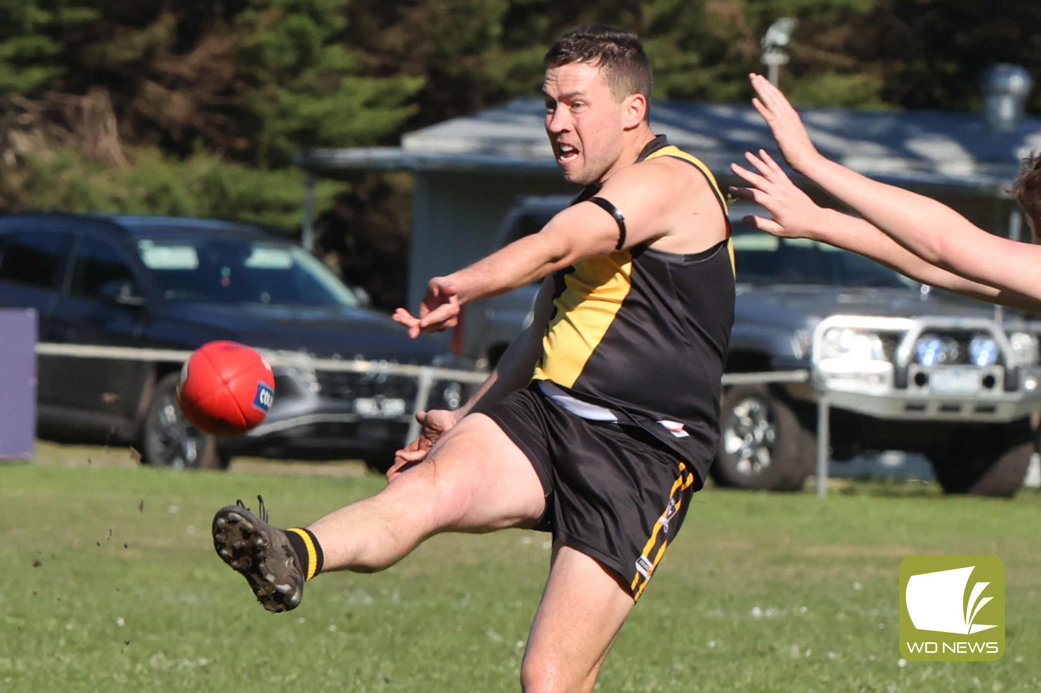 Heavy loss for Tigers - feature photo