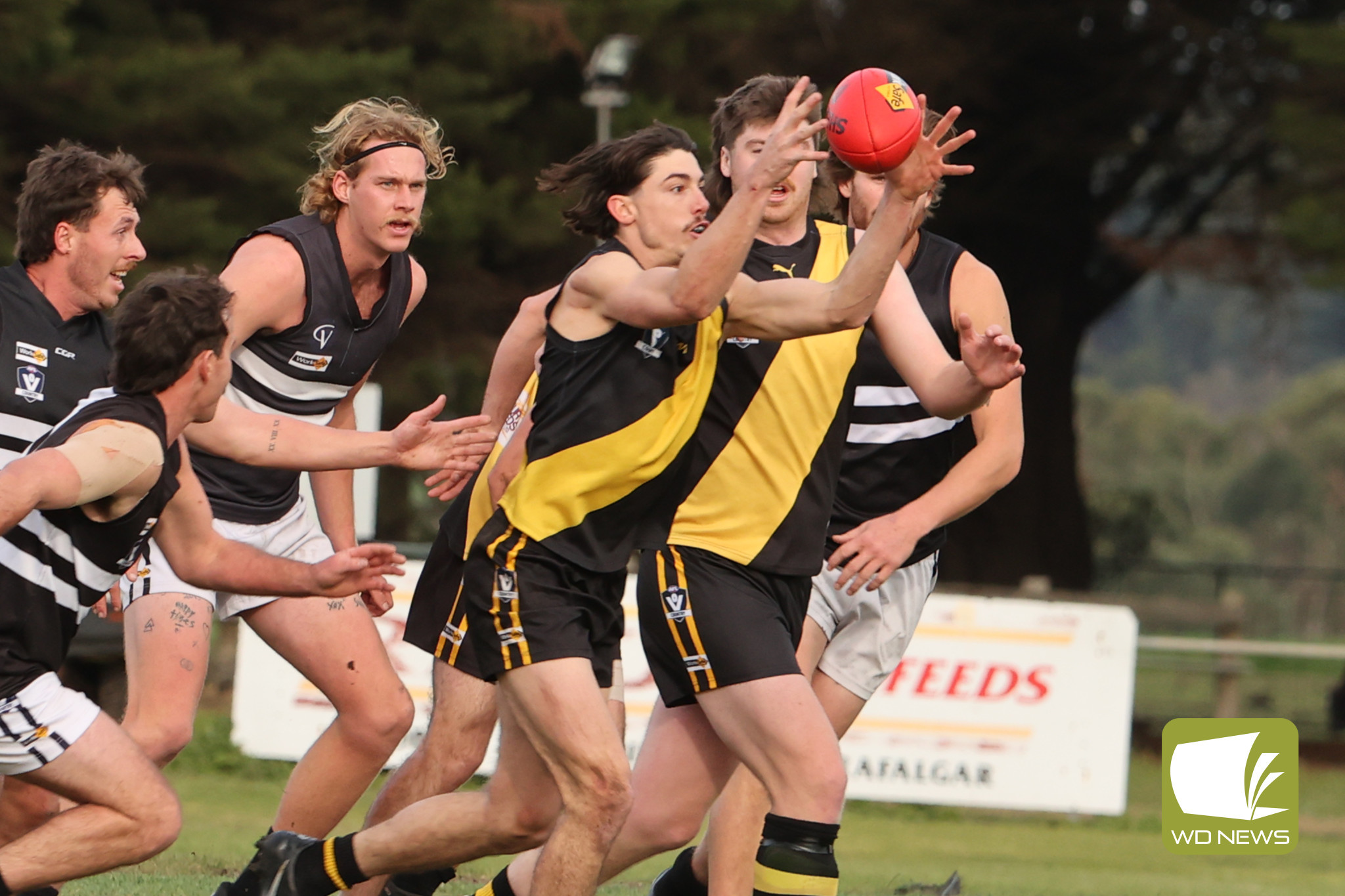 Tigers struggle at home - feature photo