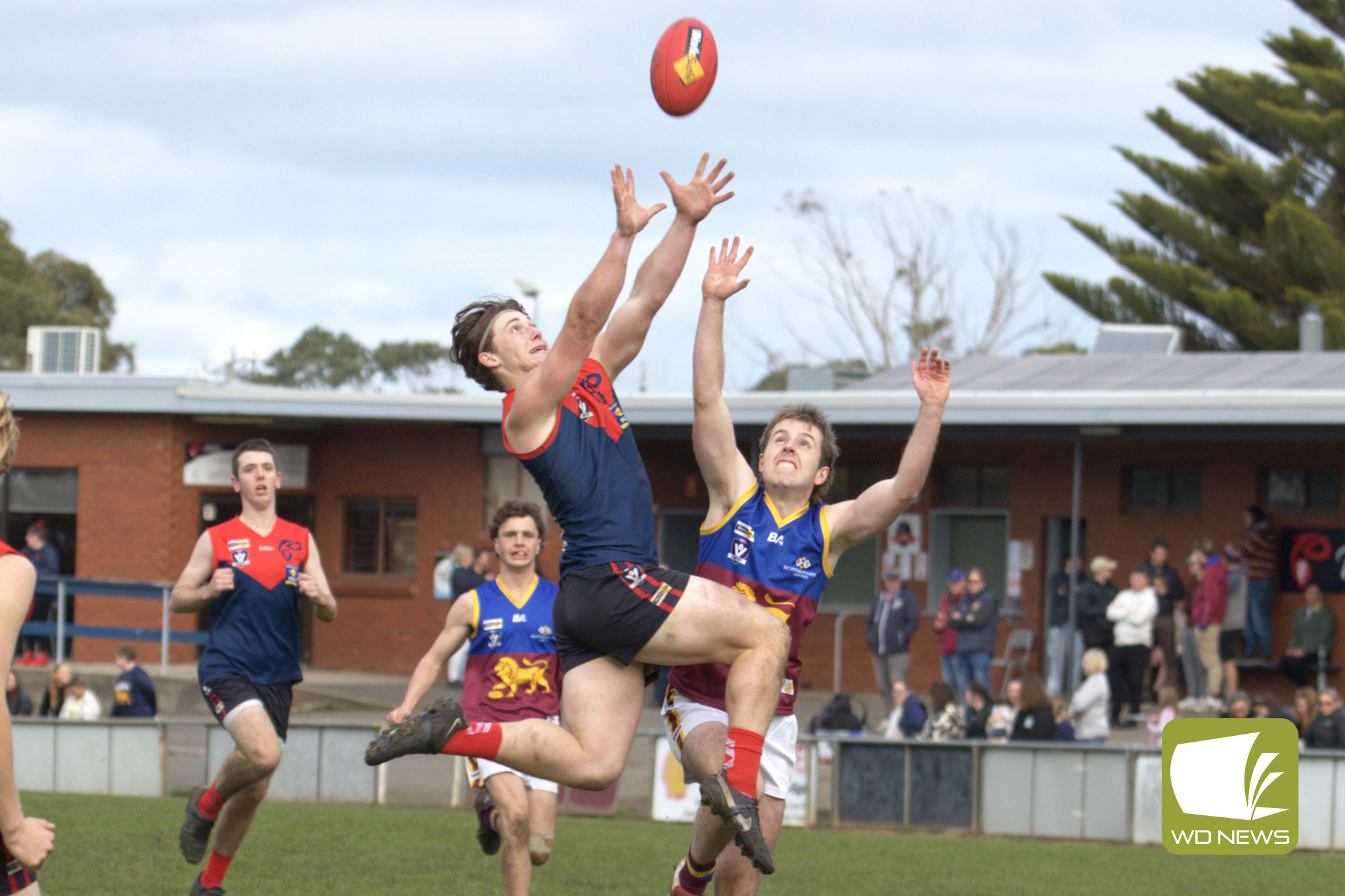 Demons break the drought - feature photo
