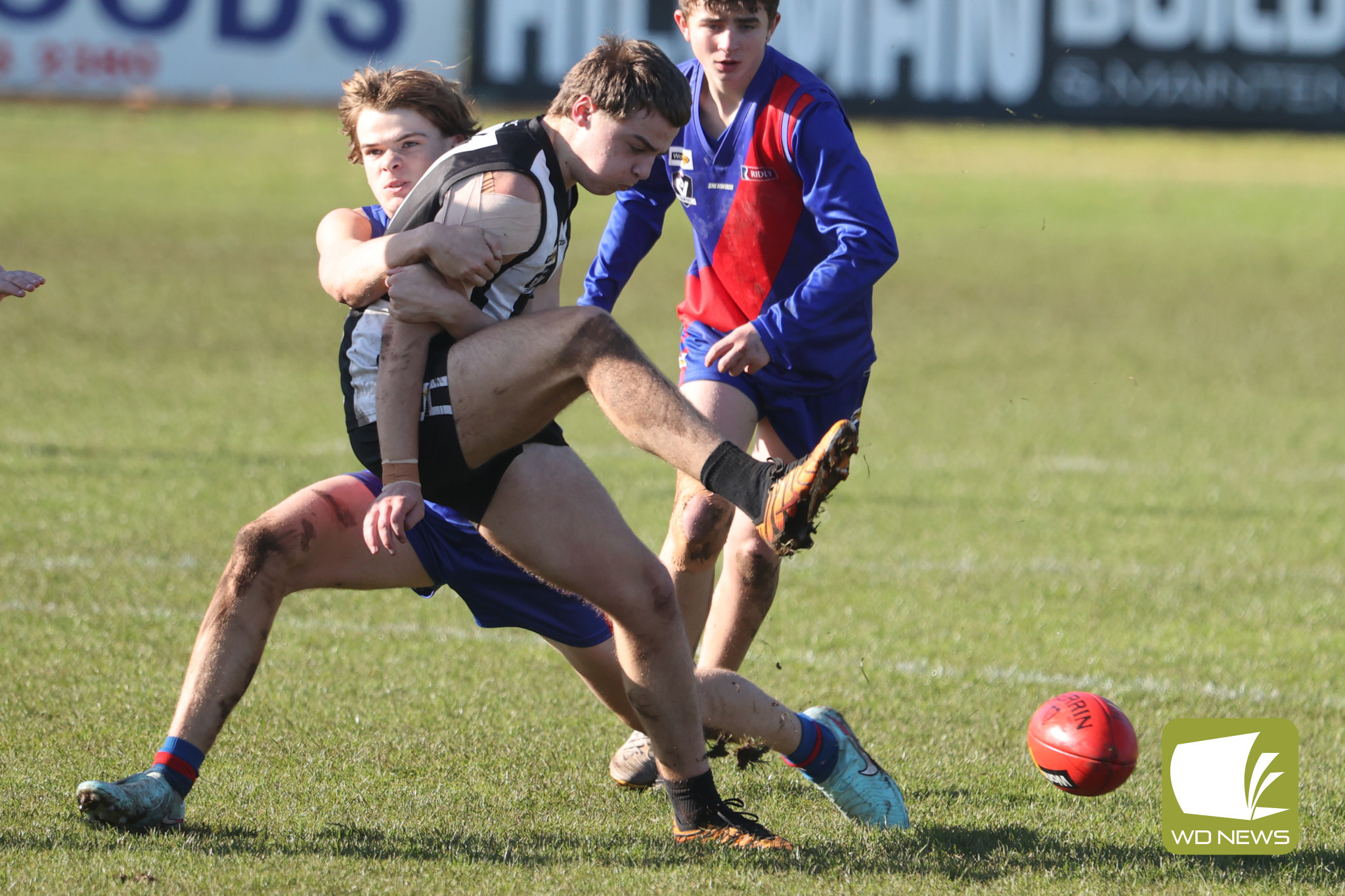 The Bloods’ under 16s had a strong 35-point win over Camperdown last weekend, showing versatility and skill all over the ground.