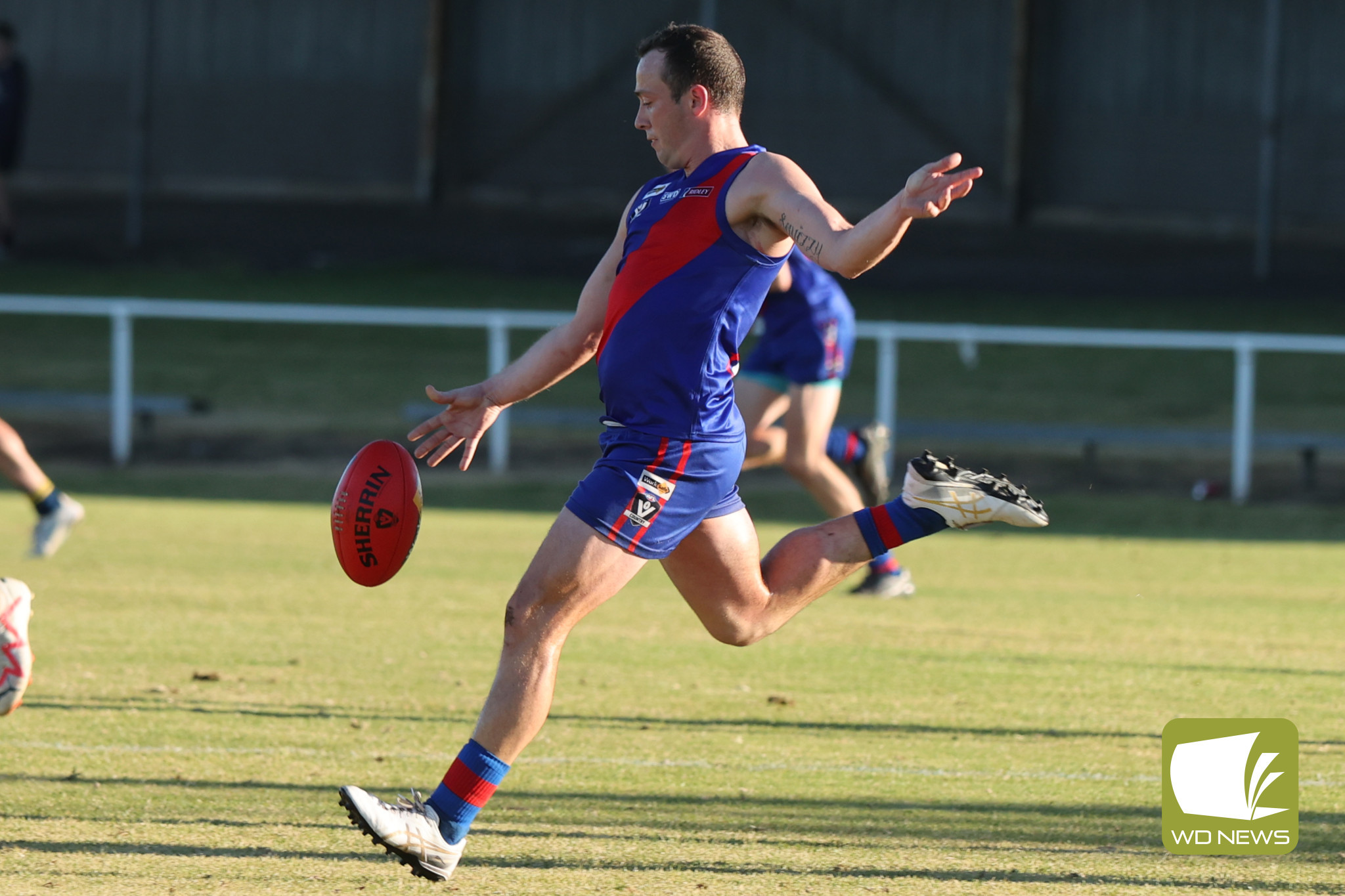 Cats premiership player joins Bloods - feature photo