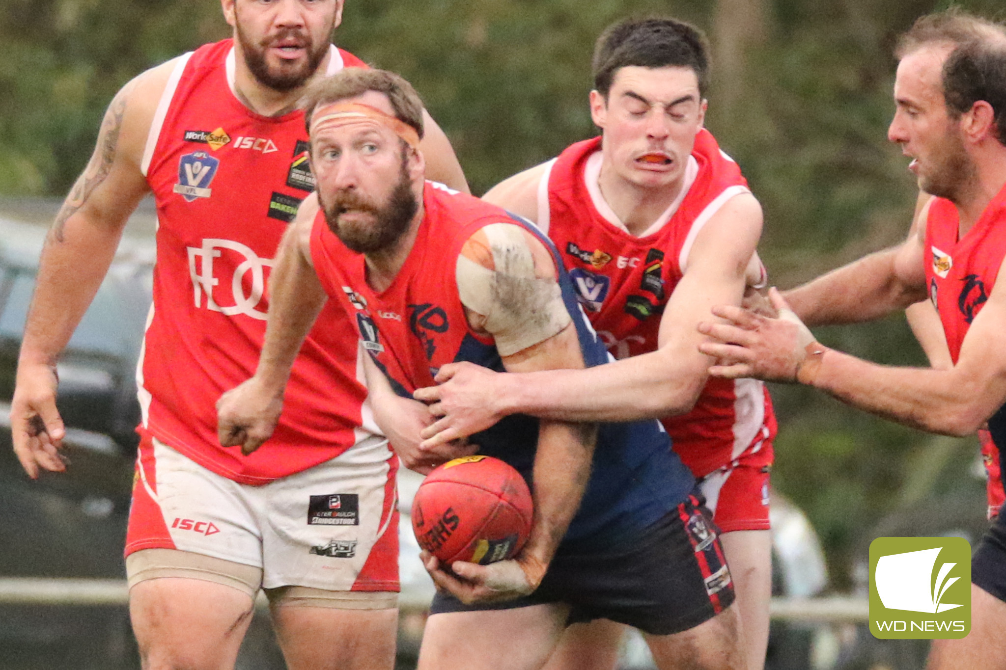 Demons on a roll - feature photo